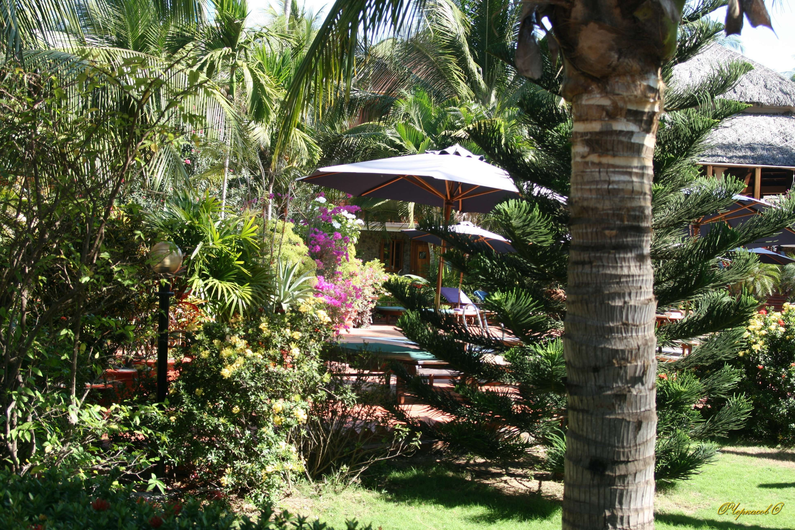 Вьетнам 2008 г. Улица, люди, жизнь…