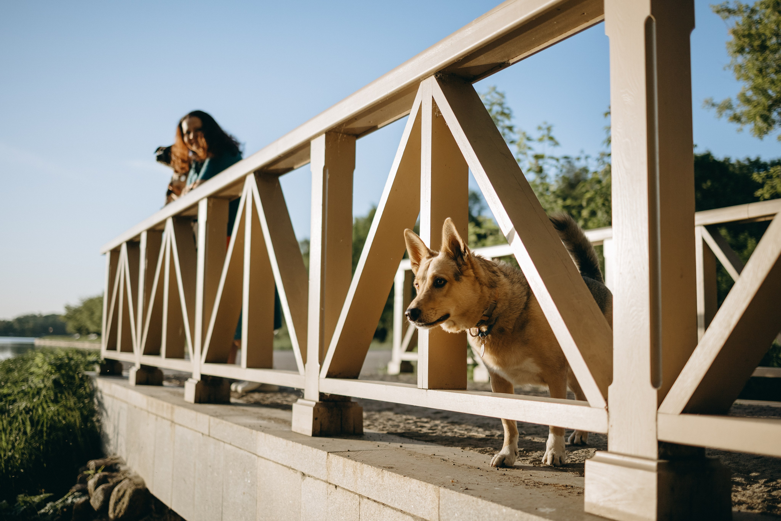 Татьяна, Сергей и их Булочка и Пончик. Фотограф — Анималист | Санкт-Петербург