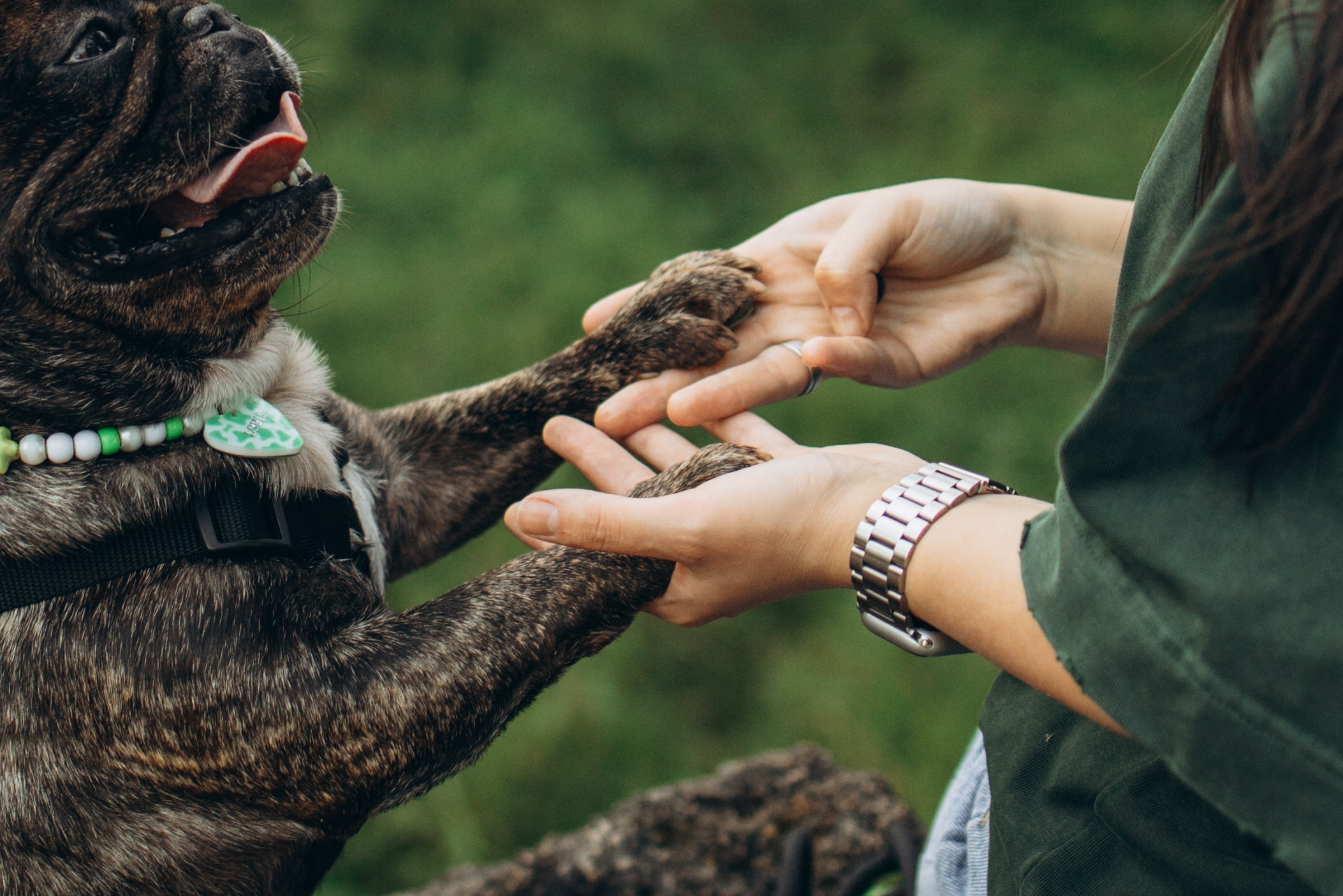 Олеся и Луи. Фотограф — Анималист | Санкт-Петербург