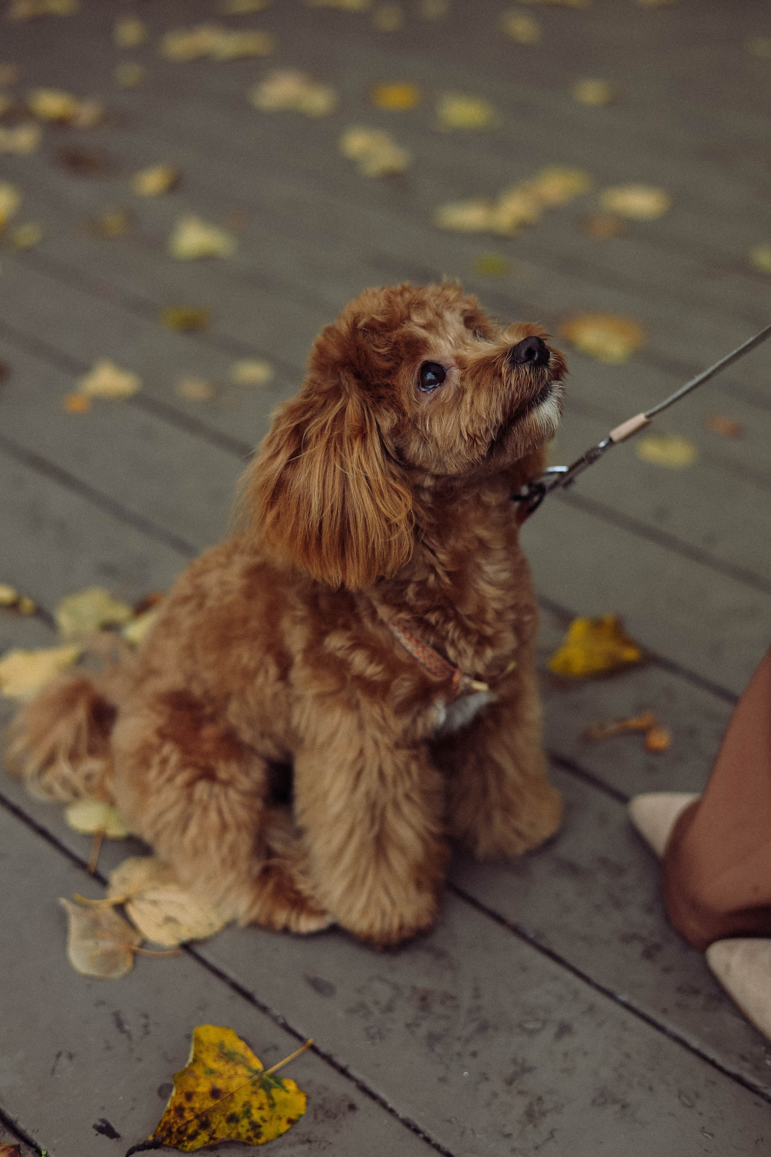 Кира. Фотограф в Москве Анастасия Калинина