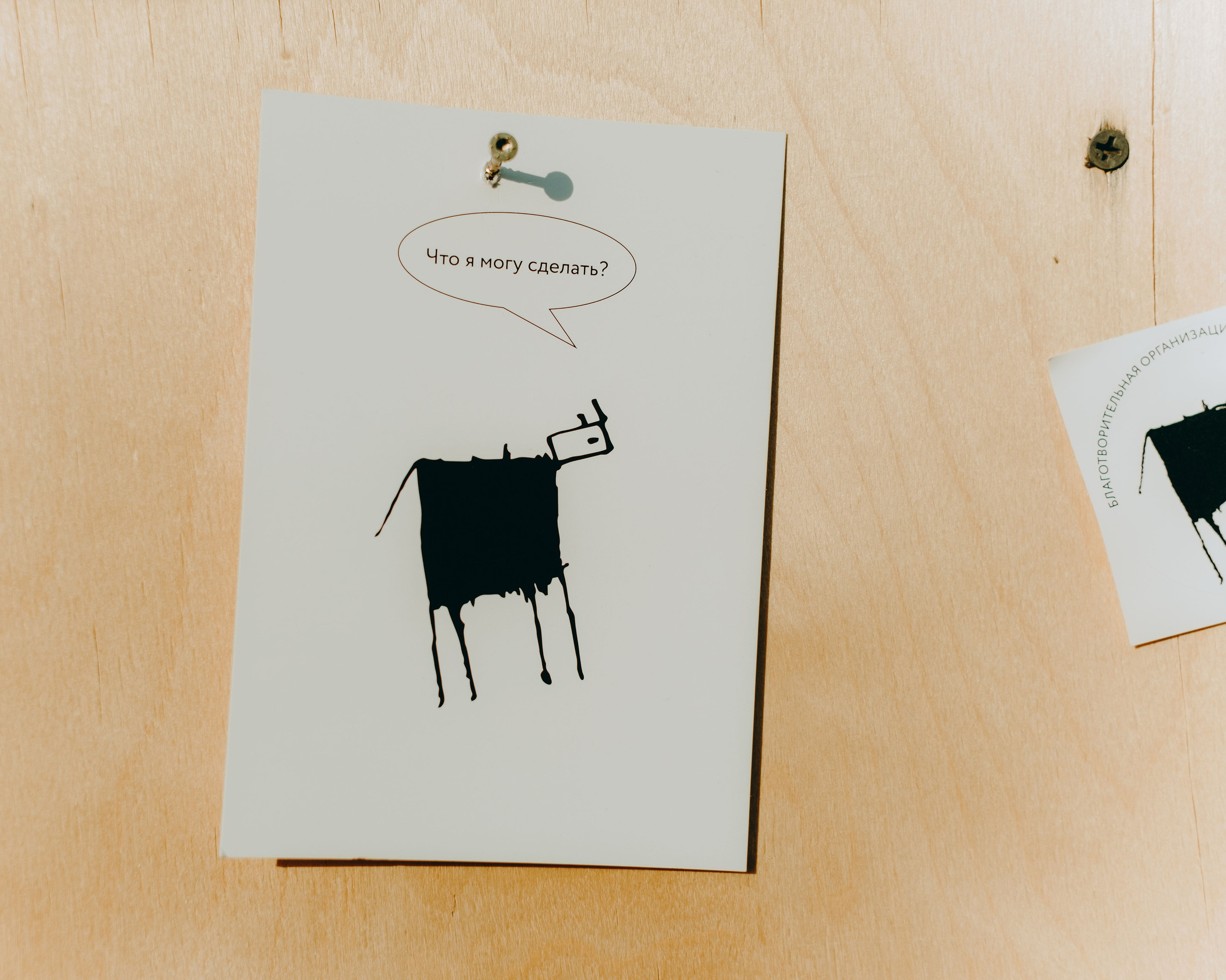 Бессонница 2025. Фотограф Аннё| Москва