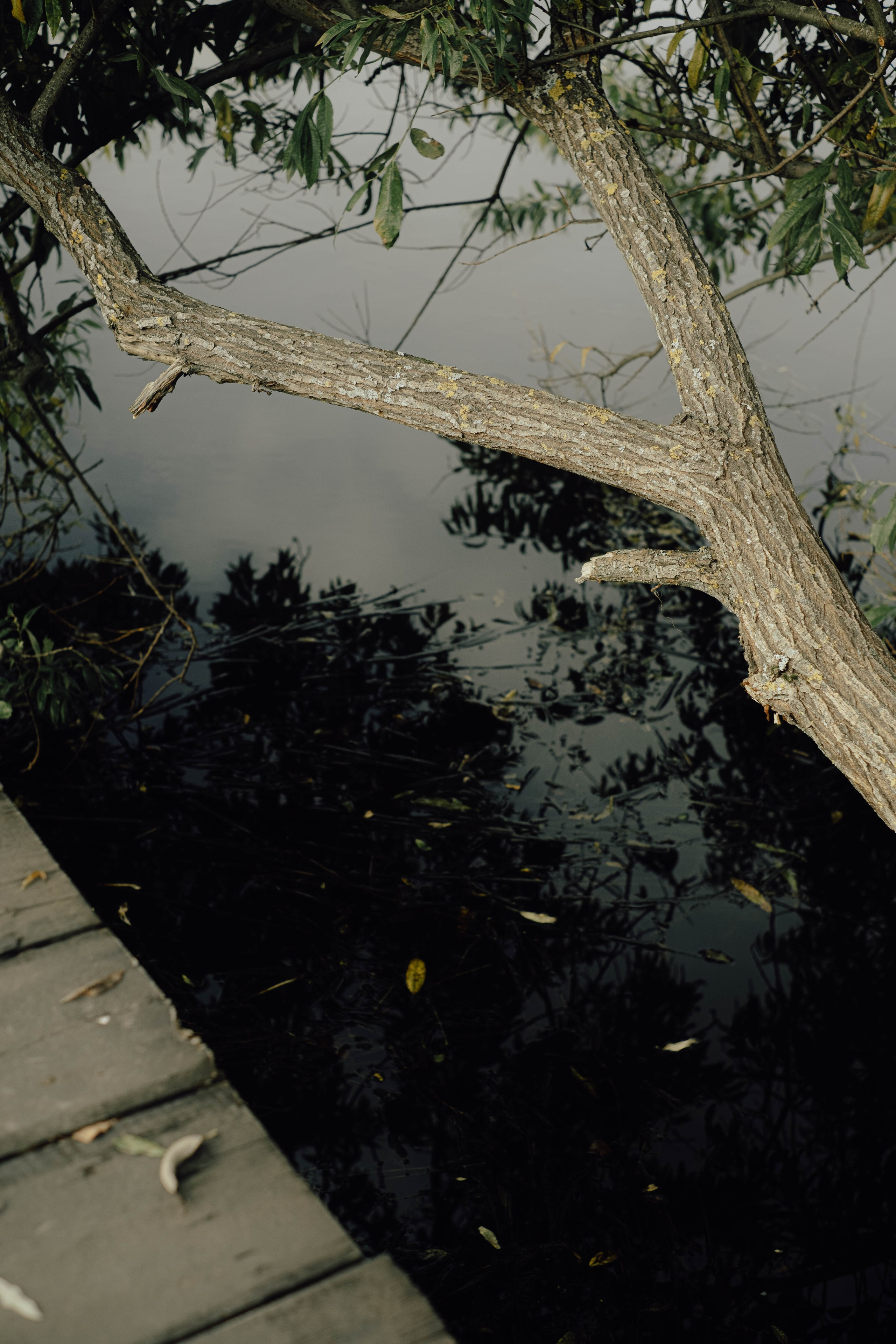 «52 герца». Фотограф Аннё| Москва