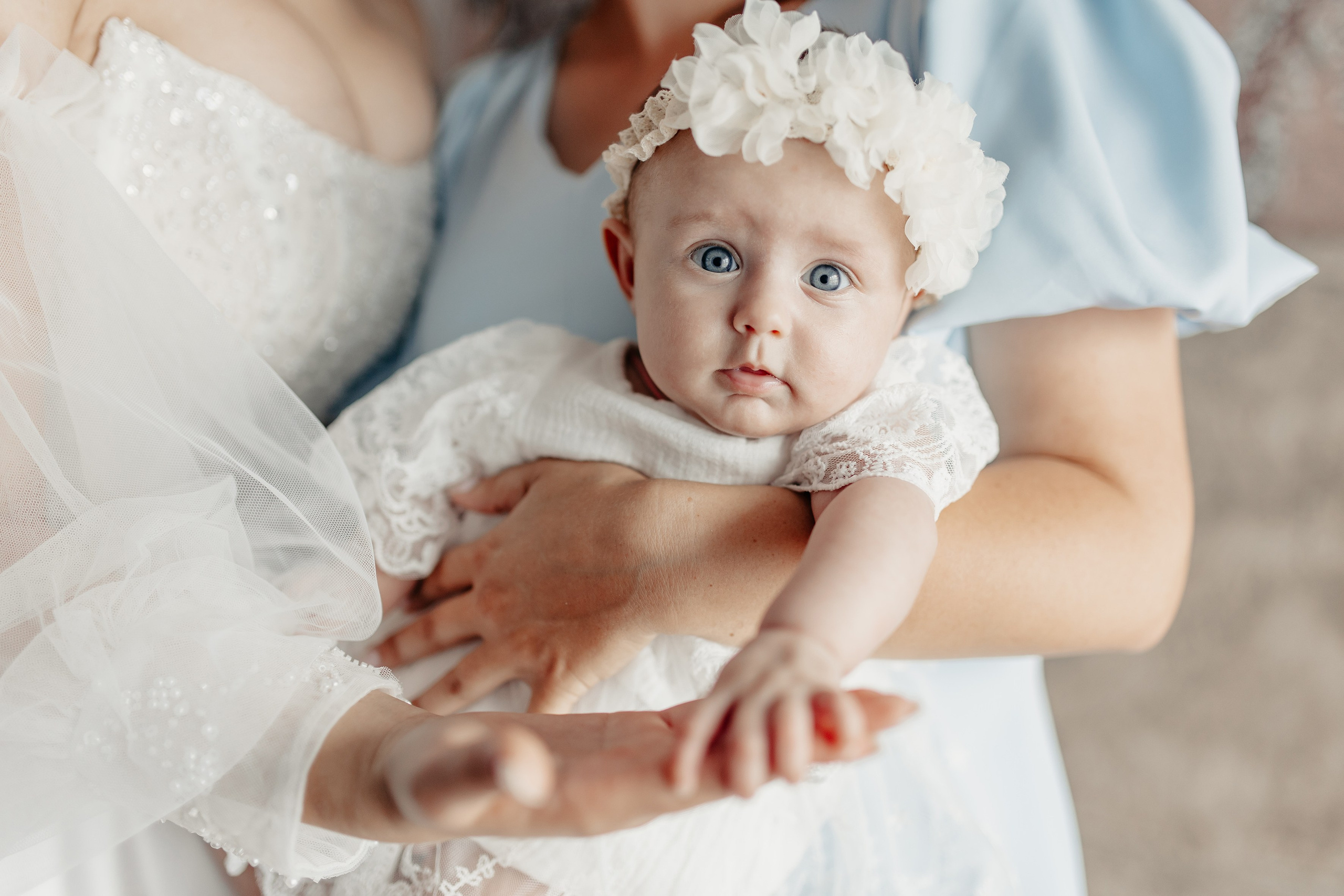 Александр и Виктория. Свадебный фотограф в Алексеевке Сергей Коротенко