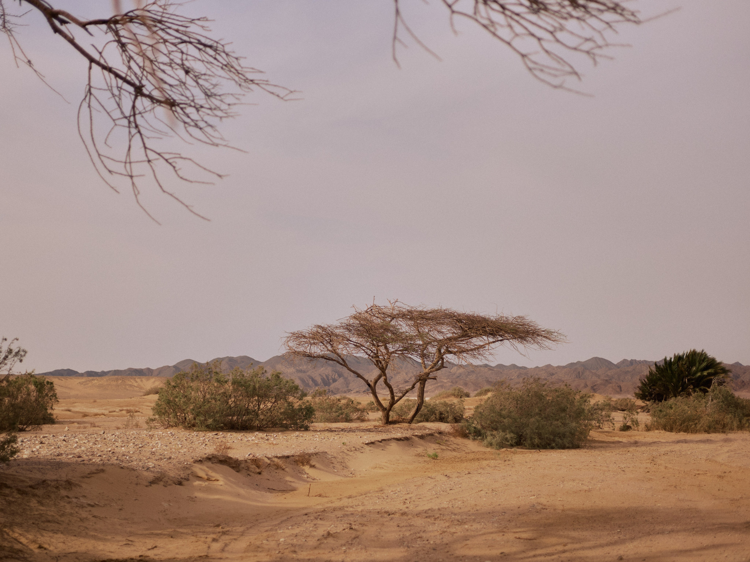 Улица горизонтальная. Jorgis — фотограф в Хургаде / обучение фотографии