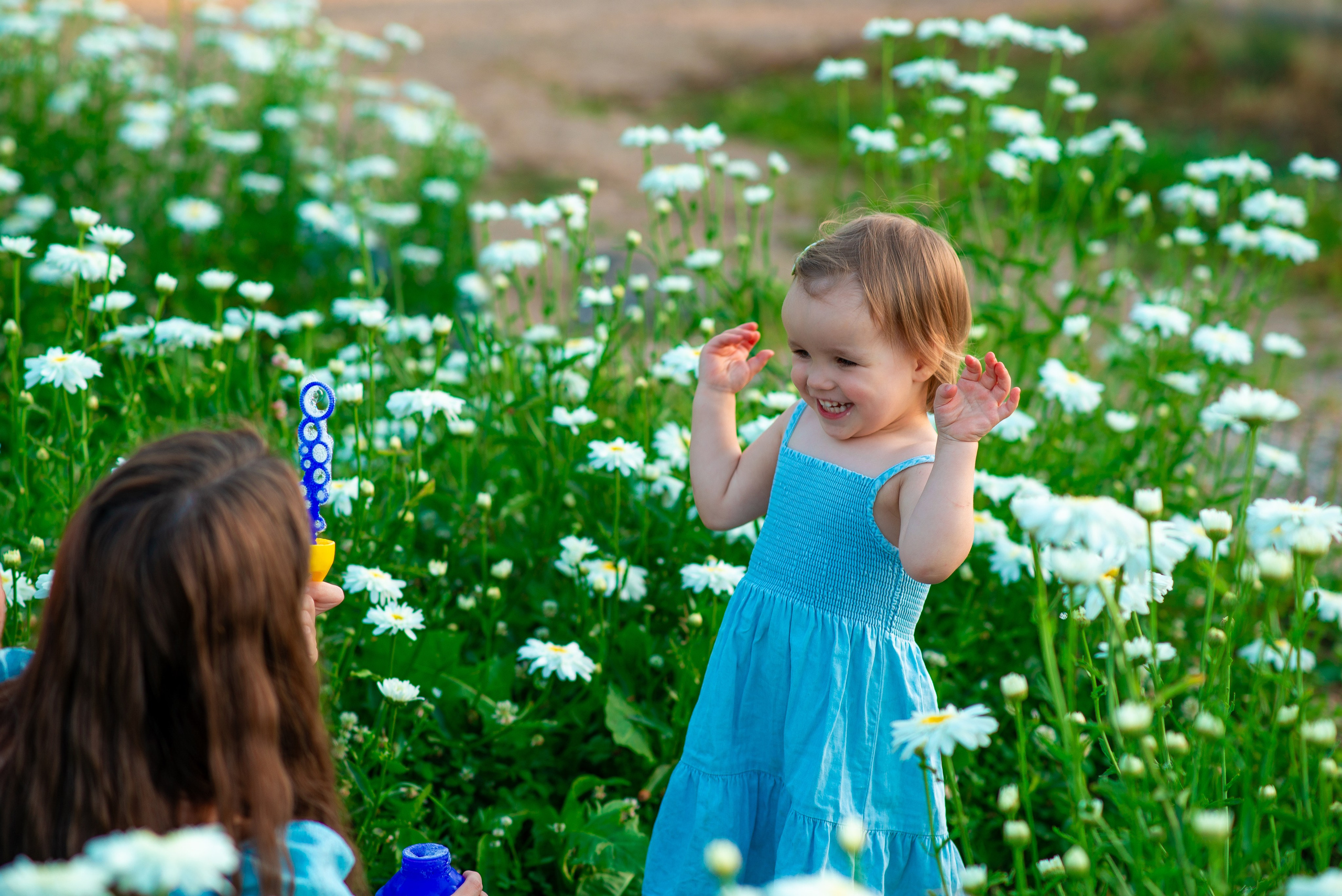 Вероника с семьей в ромашках. Семейный фотограф на выписку из роддома и крещение Минск Настя Гришук