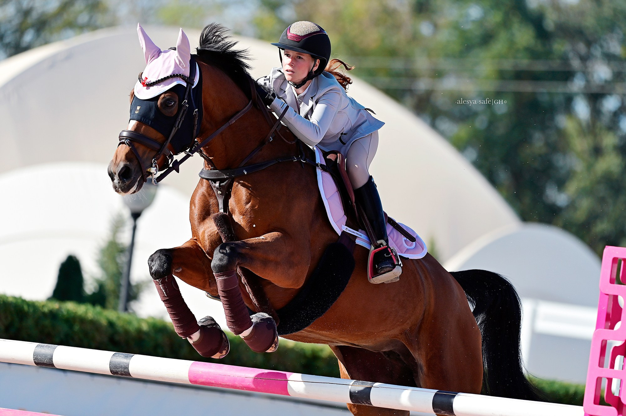 Голден. Конный фотограф Alesya Safe