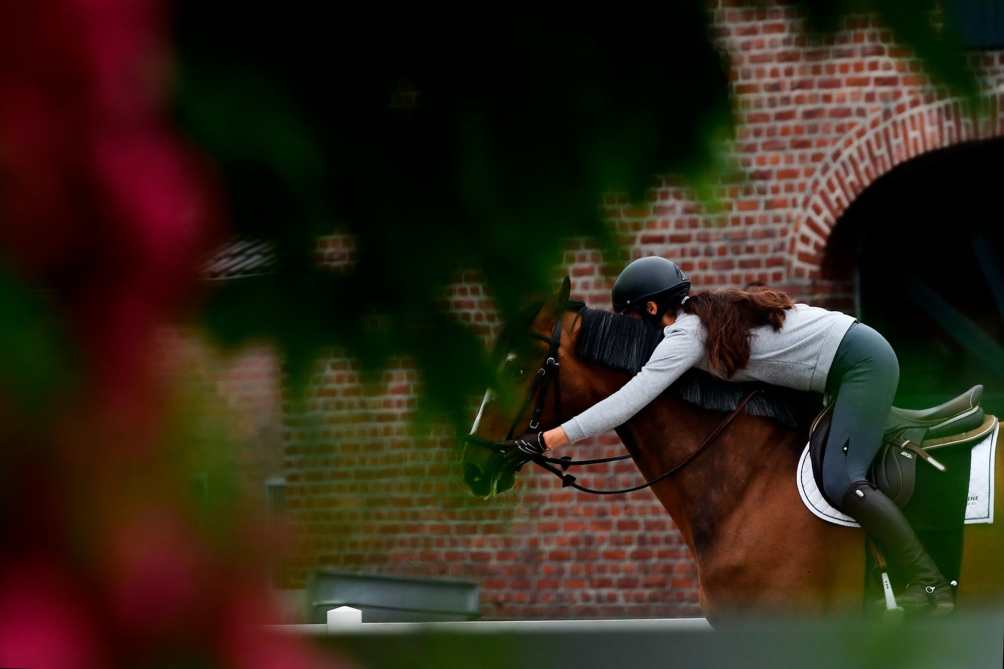 ЕС. Конный фотограф Alesya Safe