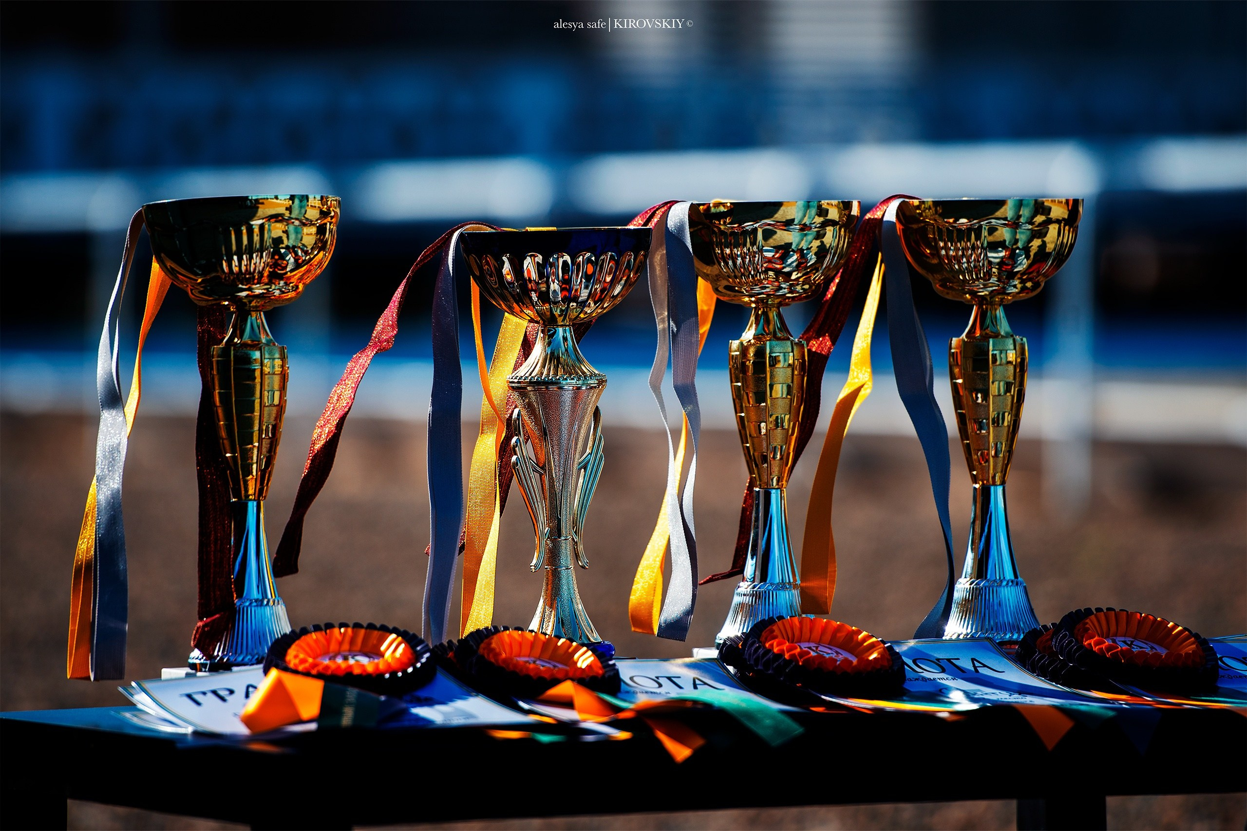 Кировский конный завод. Конный фотограф Alesya Safe