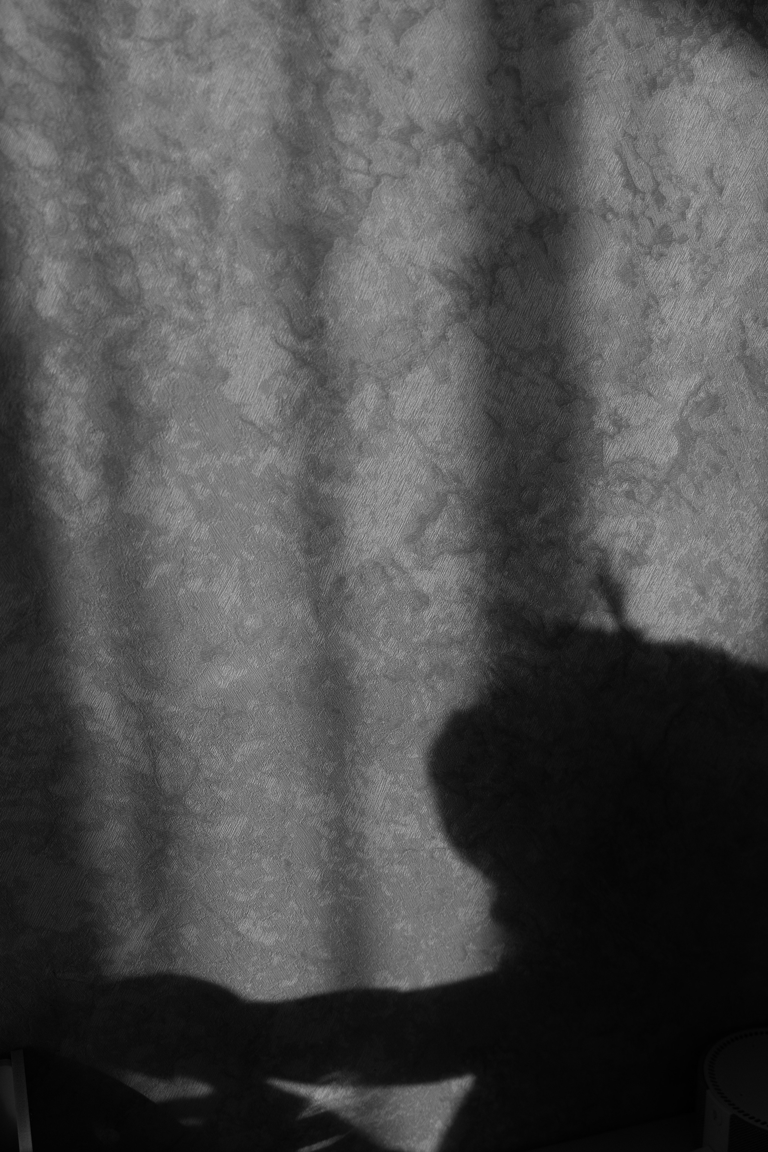 Семейная фотосессия дома. Фотограф видеограф Ольга Василевская