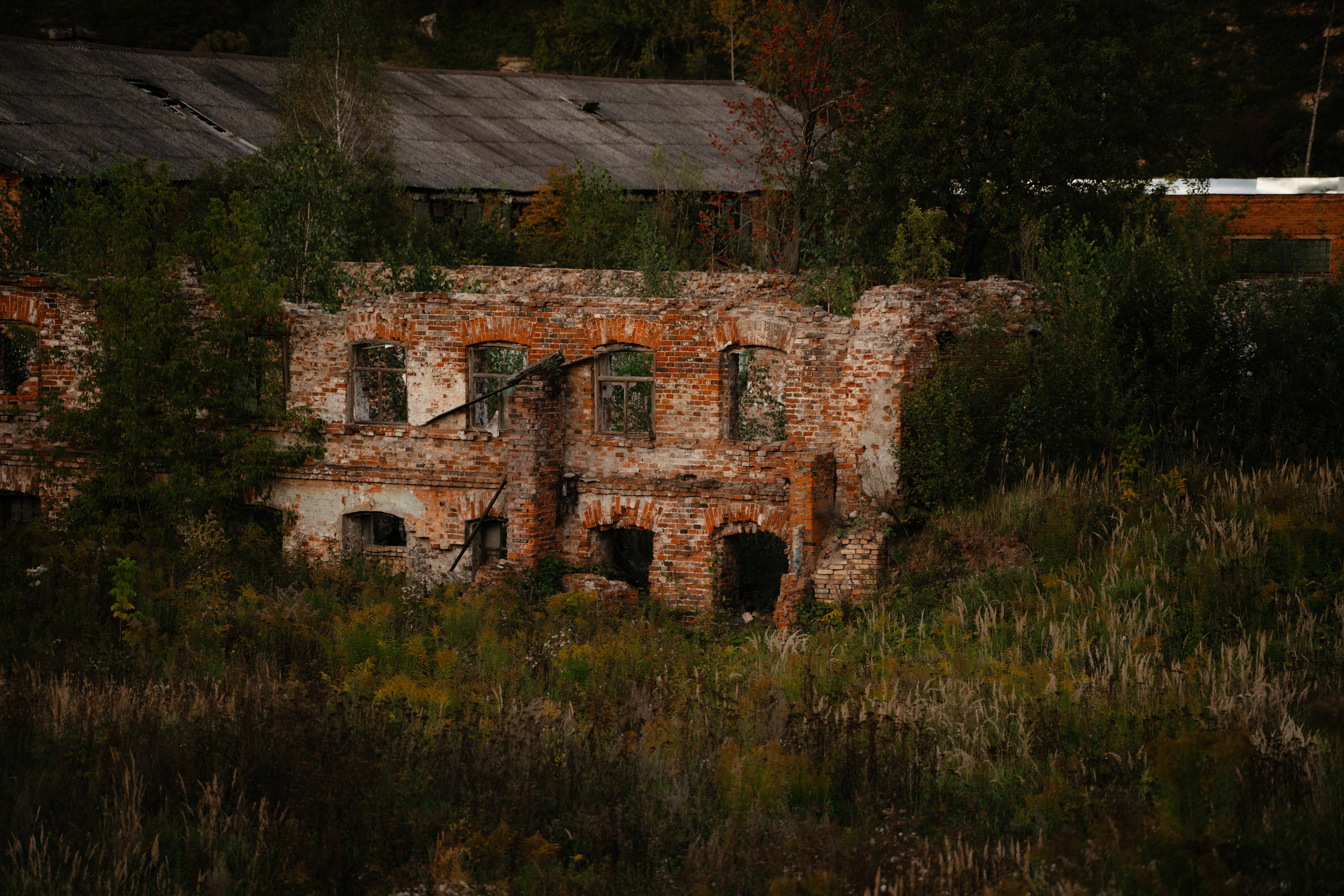 Дугна. Vlad Trykov