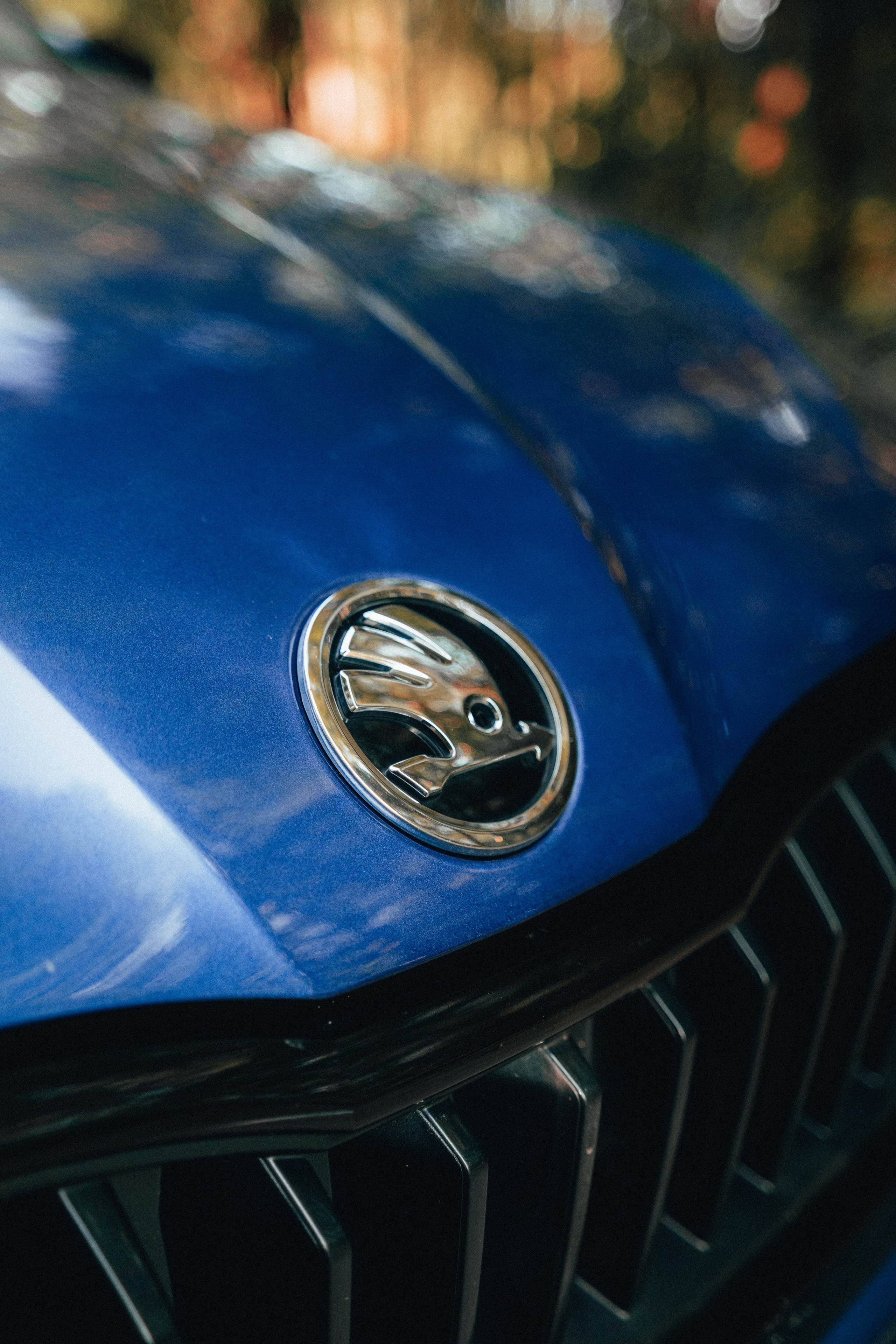 Skoda Rapid Anna. Vlad Trykov