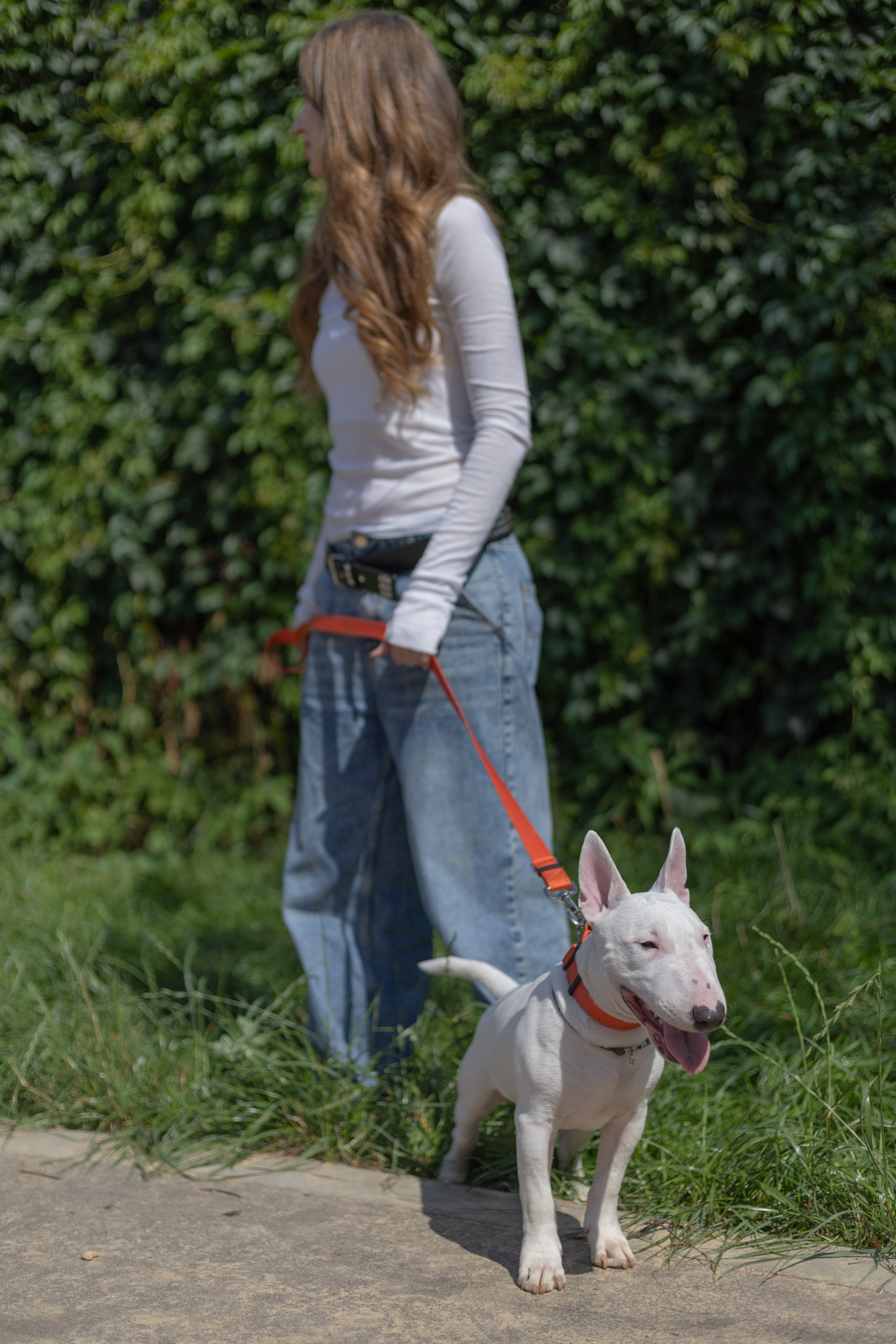 With pets. Фотограф Карина Соболева
