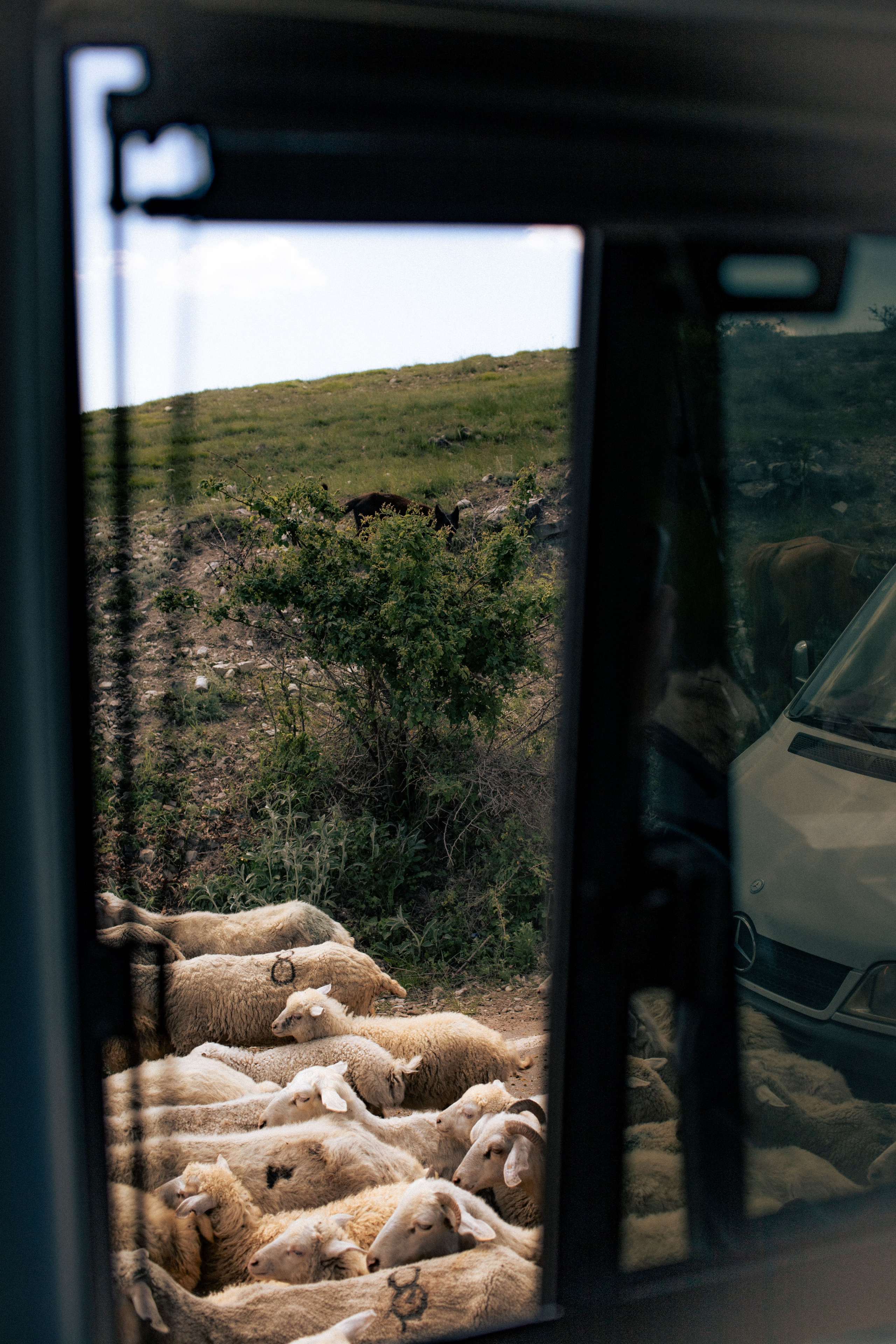 Дагестан. Фотограф в Минске Анастасия Ткаченко