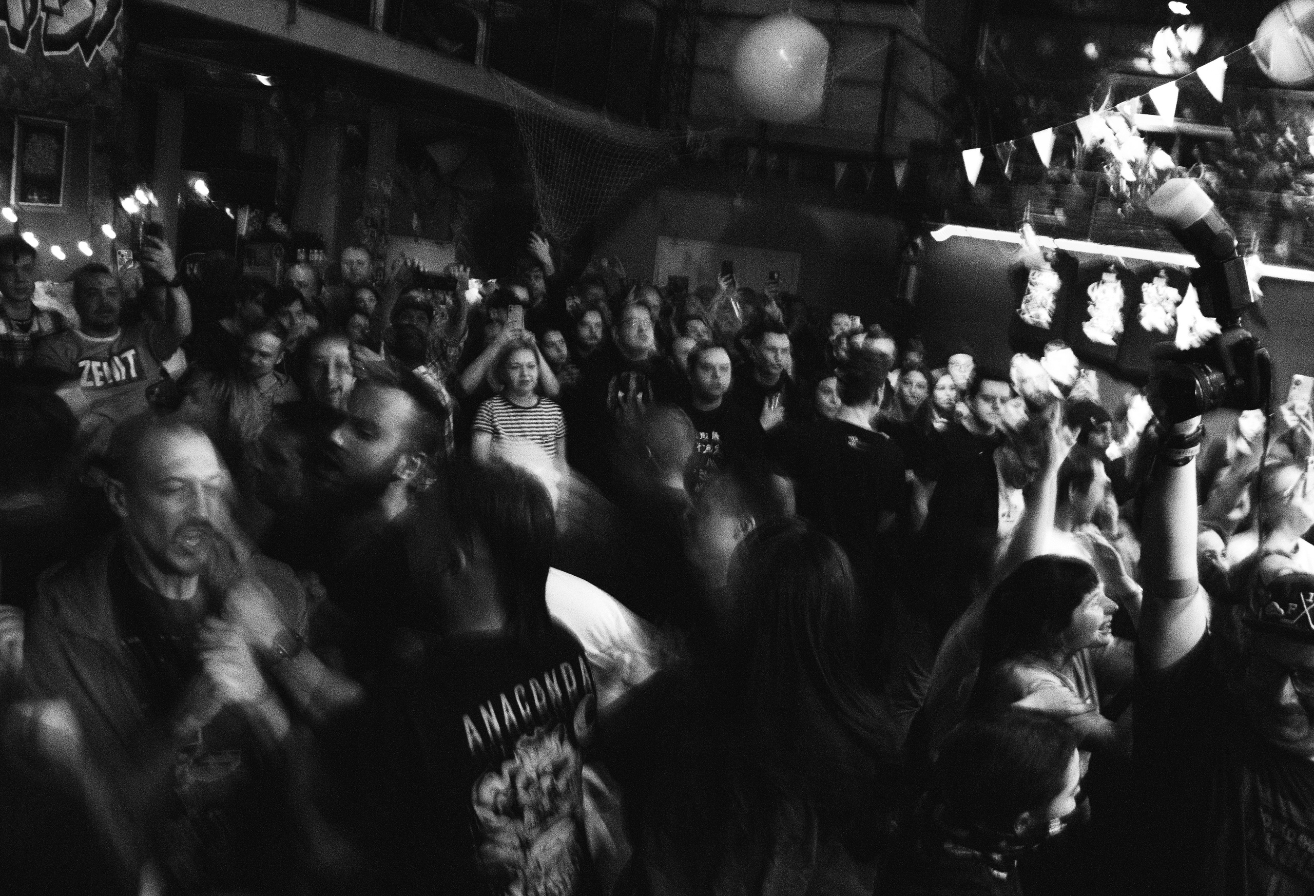 СКОТЫ | 11.12.2024 | ЛАСТОЧКА. VLADIS PISKUNOV | Концертные Фото |Репортажи