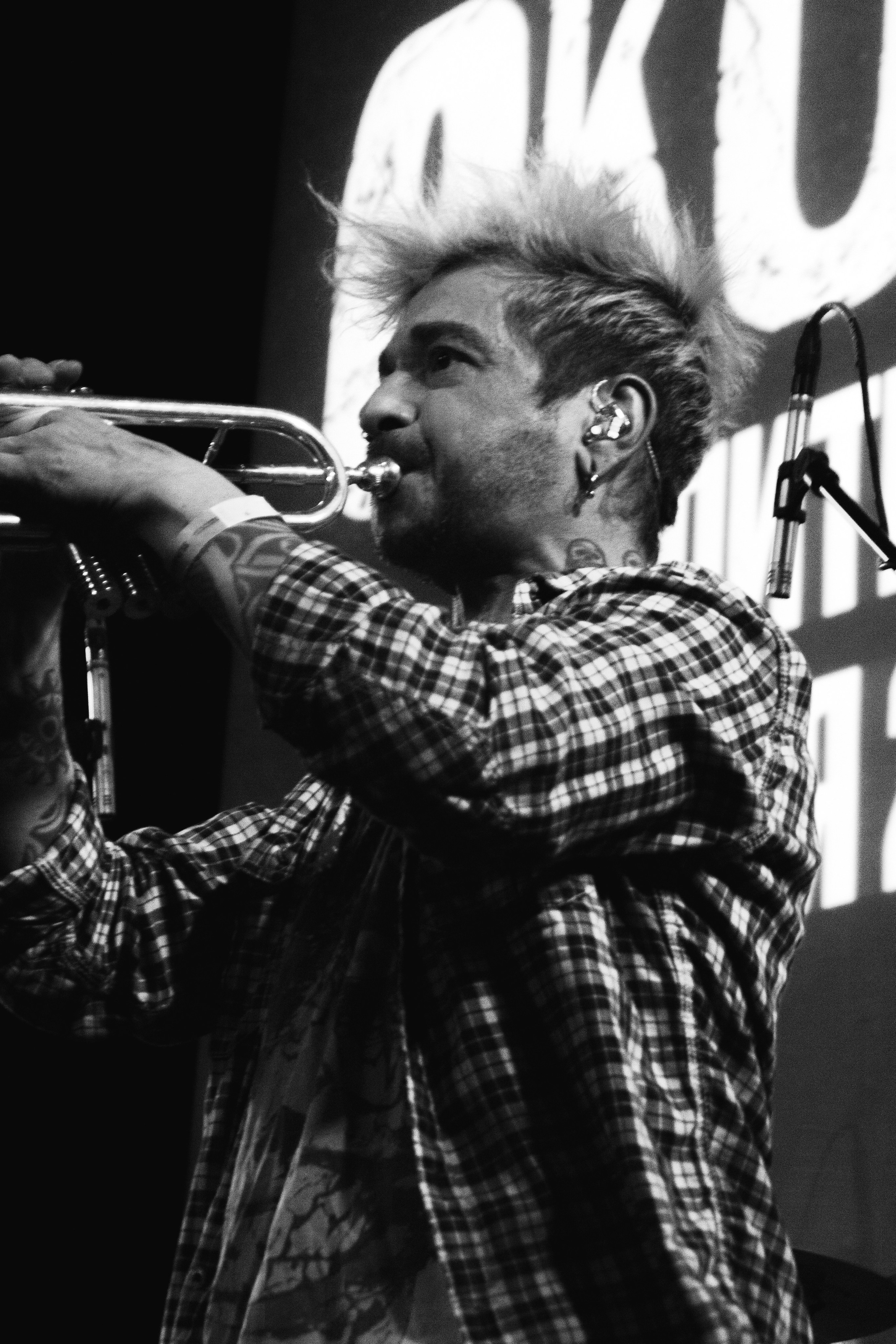 СКОТЫ | 11.12.2024 | ЛАСТОЧКА. VLADIS PISKUNOV | Концертные Фото |Репортажи