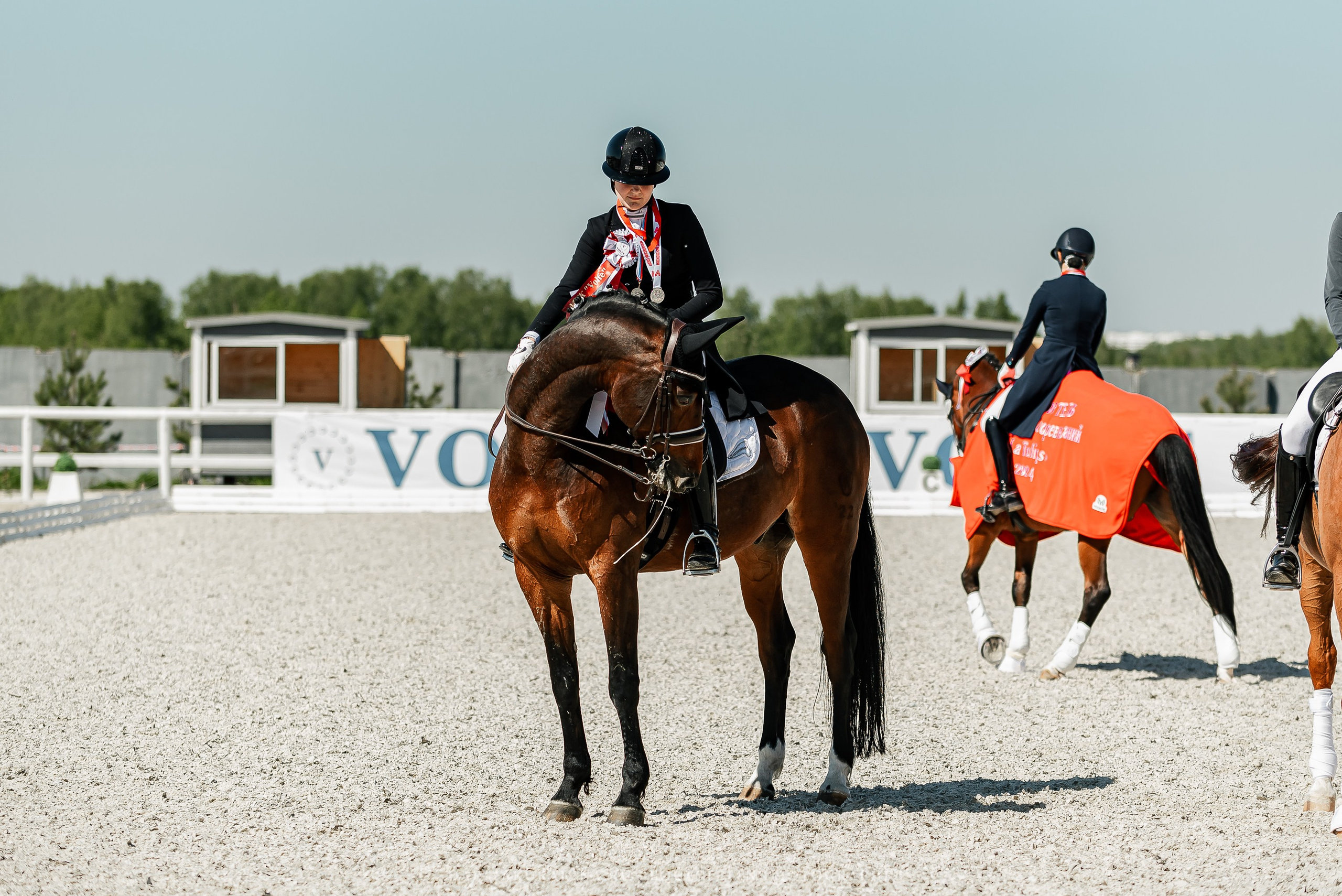 РЕПОРТАЖ МКК ВОЛЬТ «LA TULIPS». Конный фотограф Куракина Дарья • Фотосессии с лошадьми