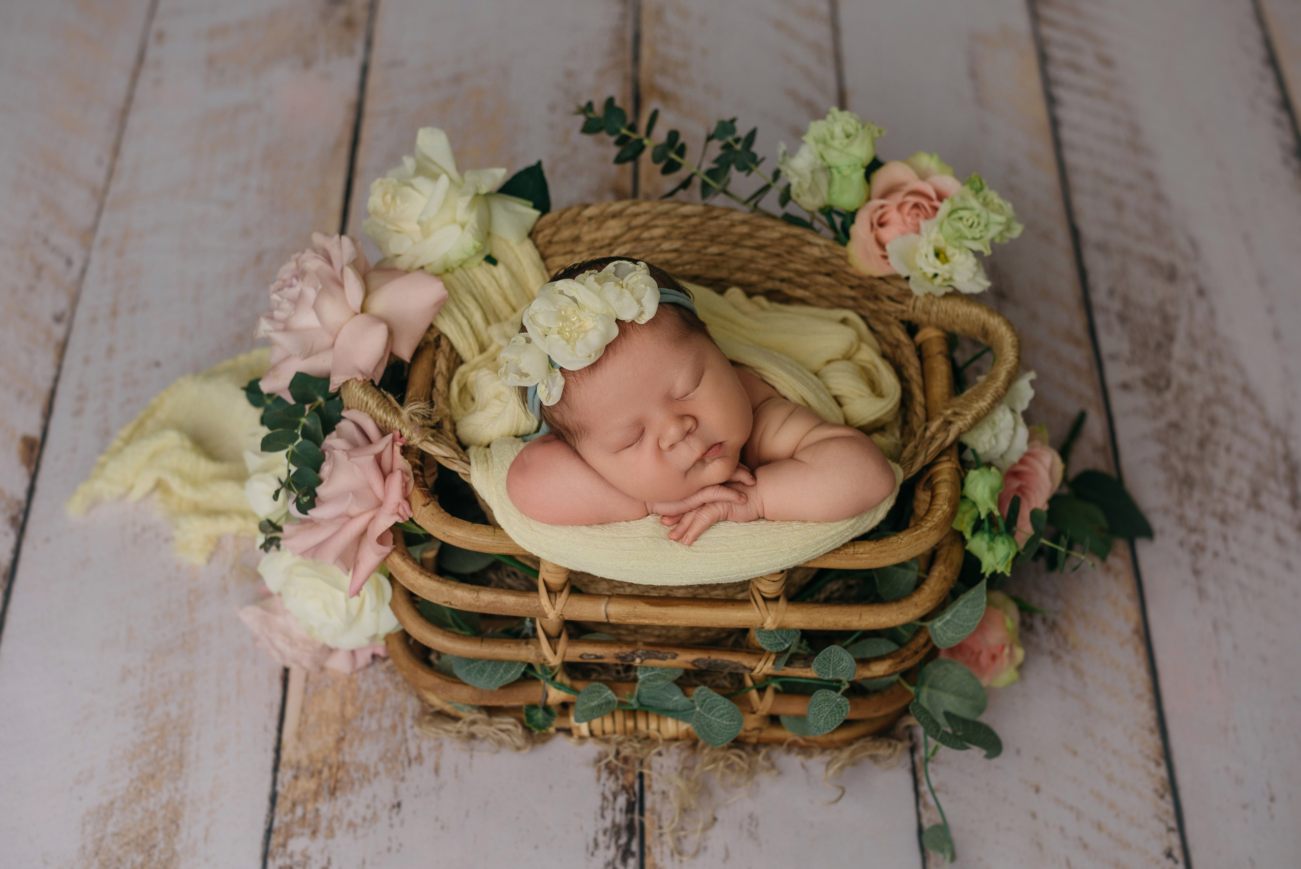 Алиса. Фотограф новорожденных Белгород