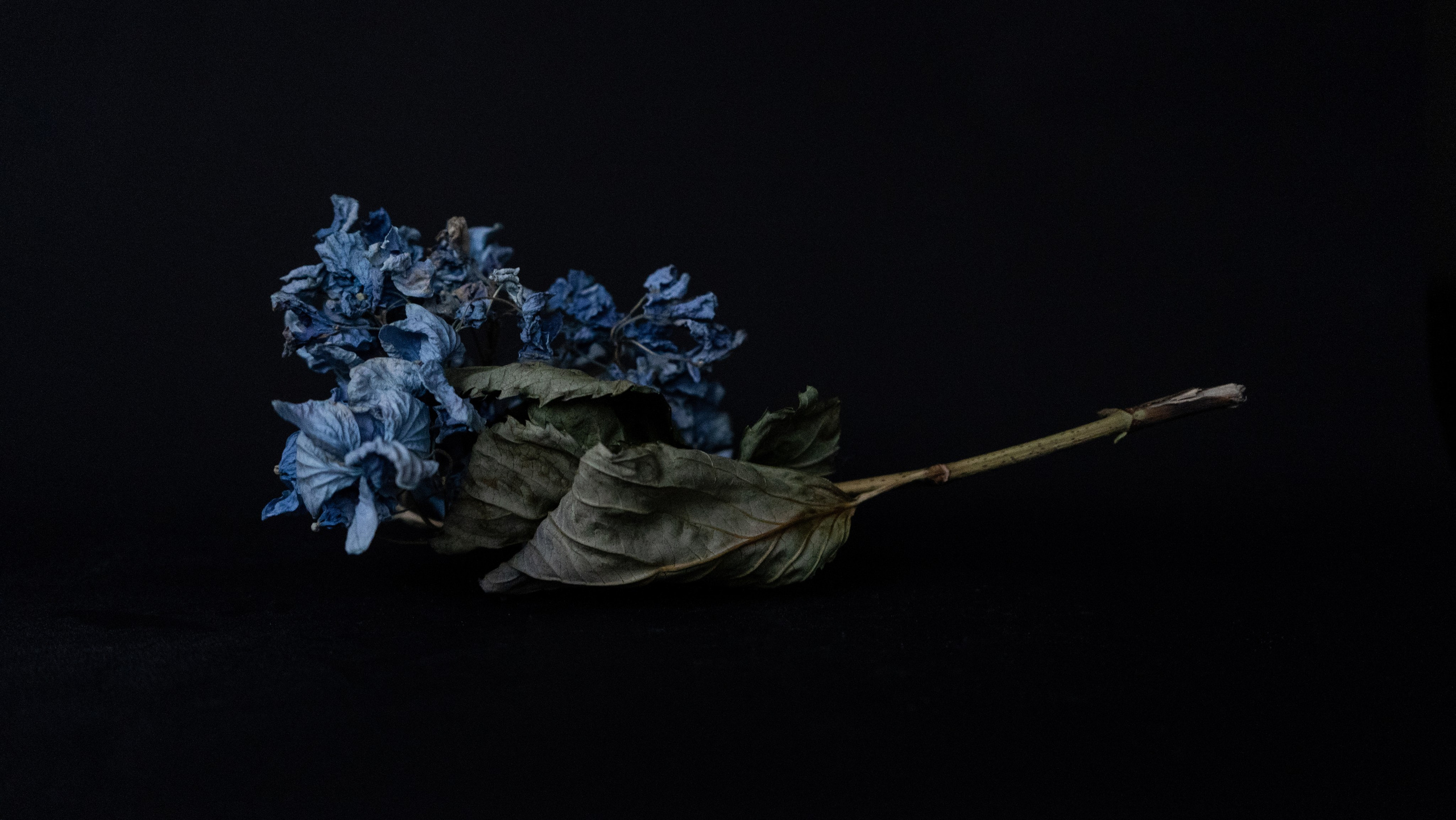 Предметная съемка. Ольга Ибатуллина