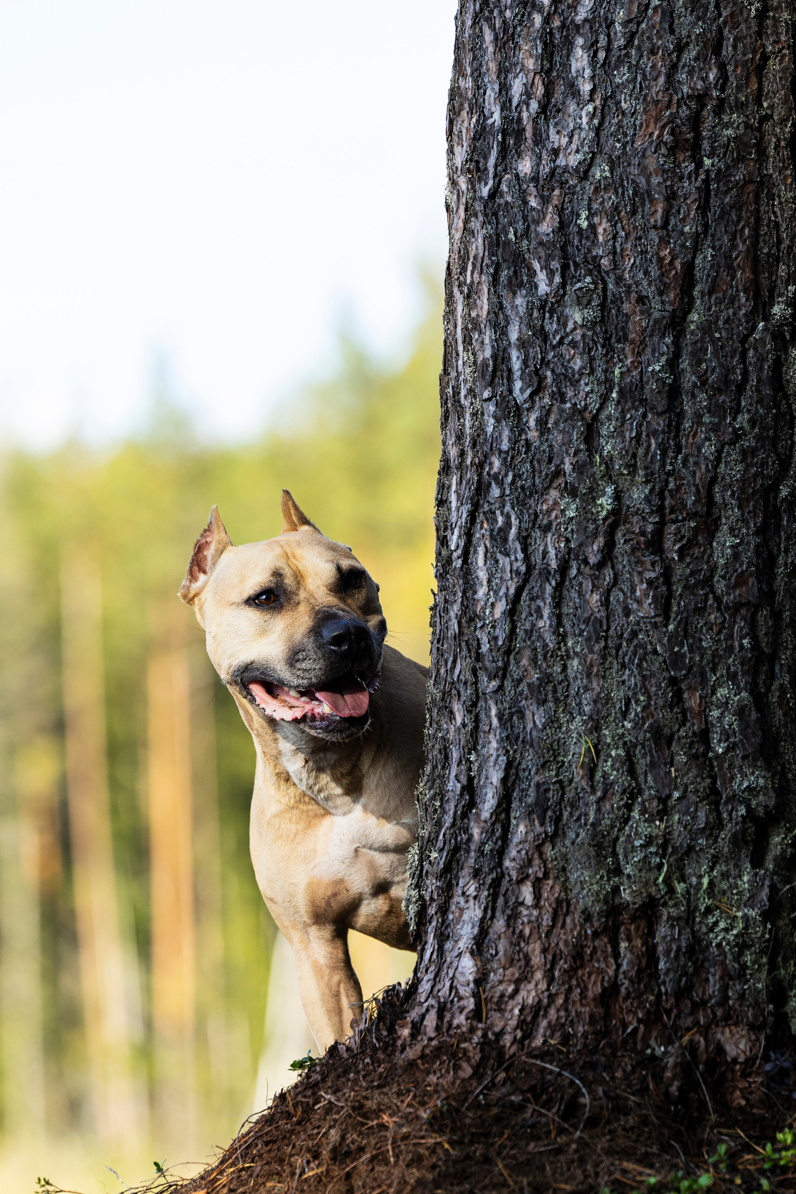 Фобос. Фотограф-анималист Анна Маринич