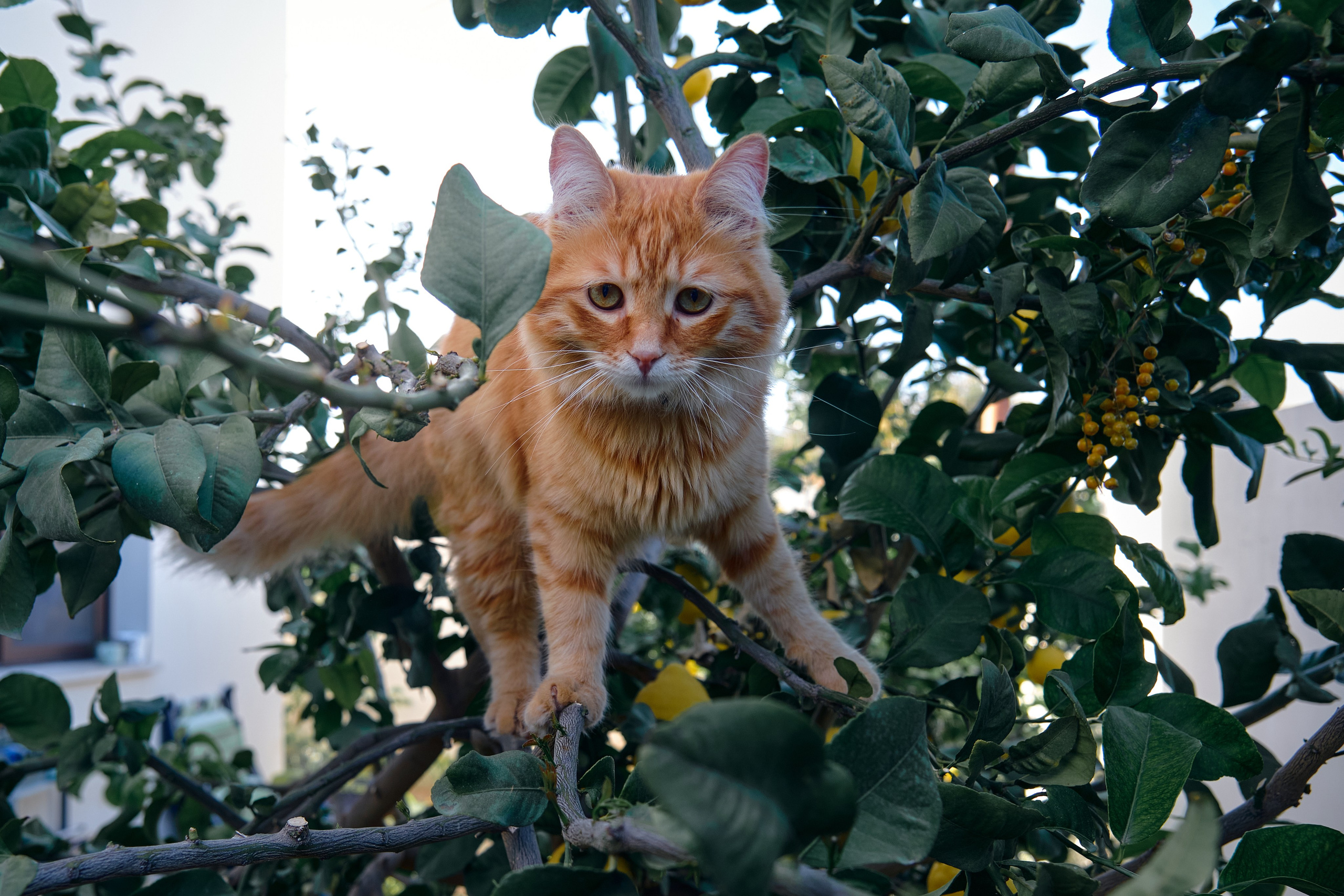 Сyprus > 2024 / april. Aleksandr Kobtsev