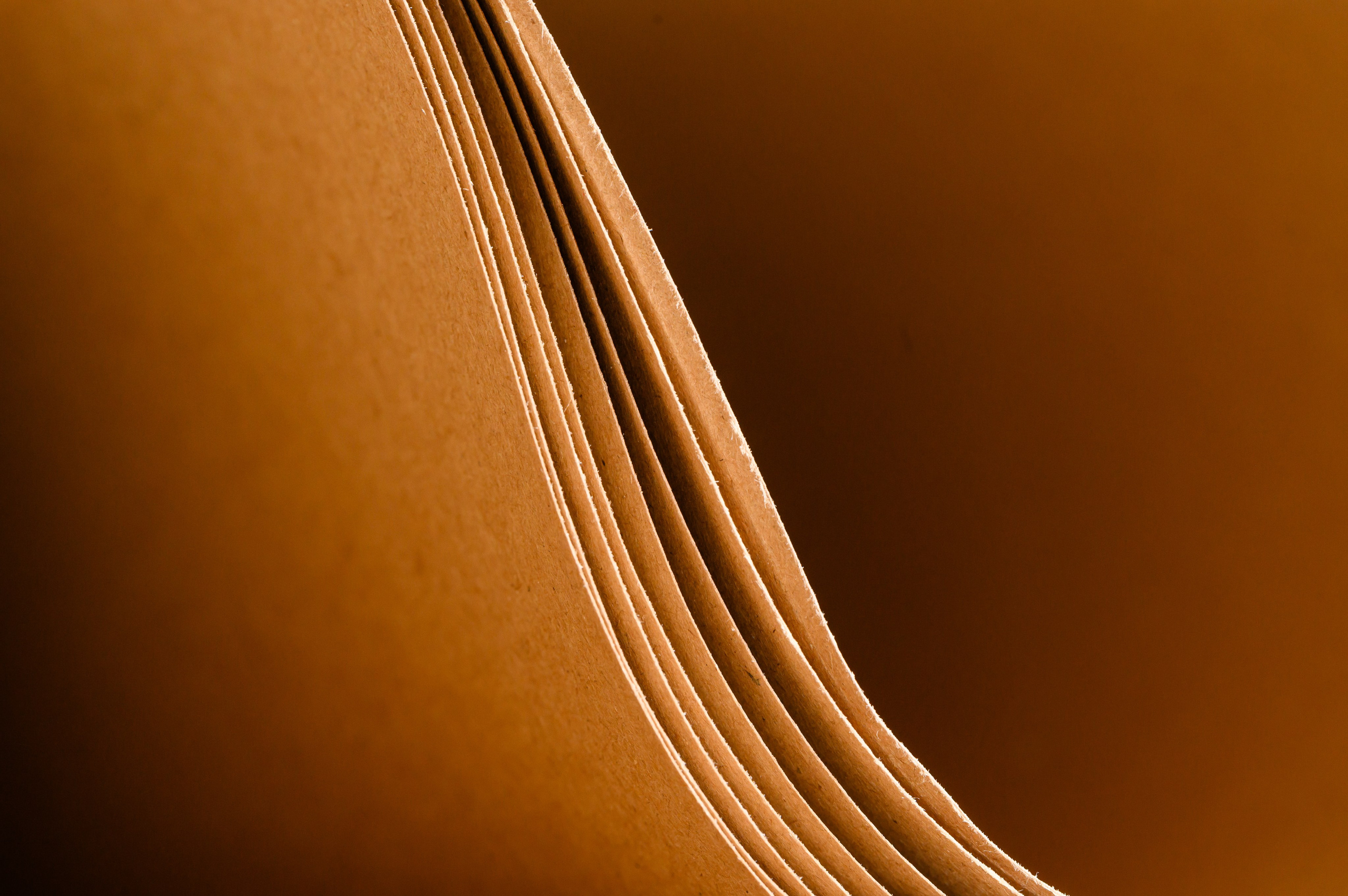 Проекты. Профессиональный фотограф Вячеслав Плацында | Липецк |