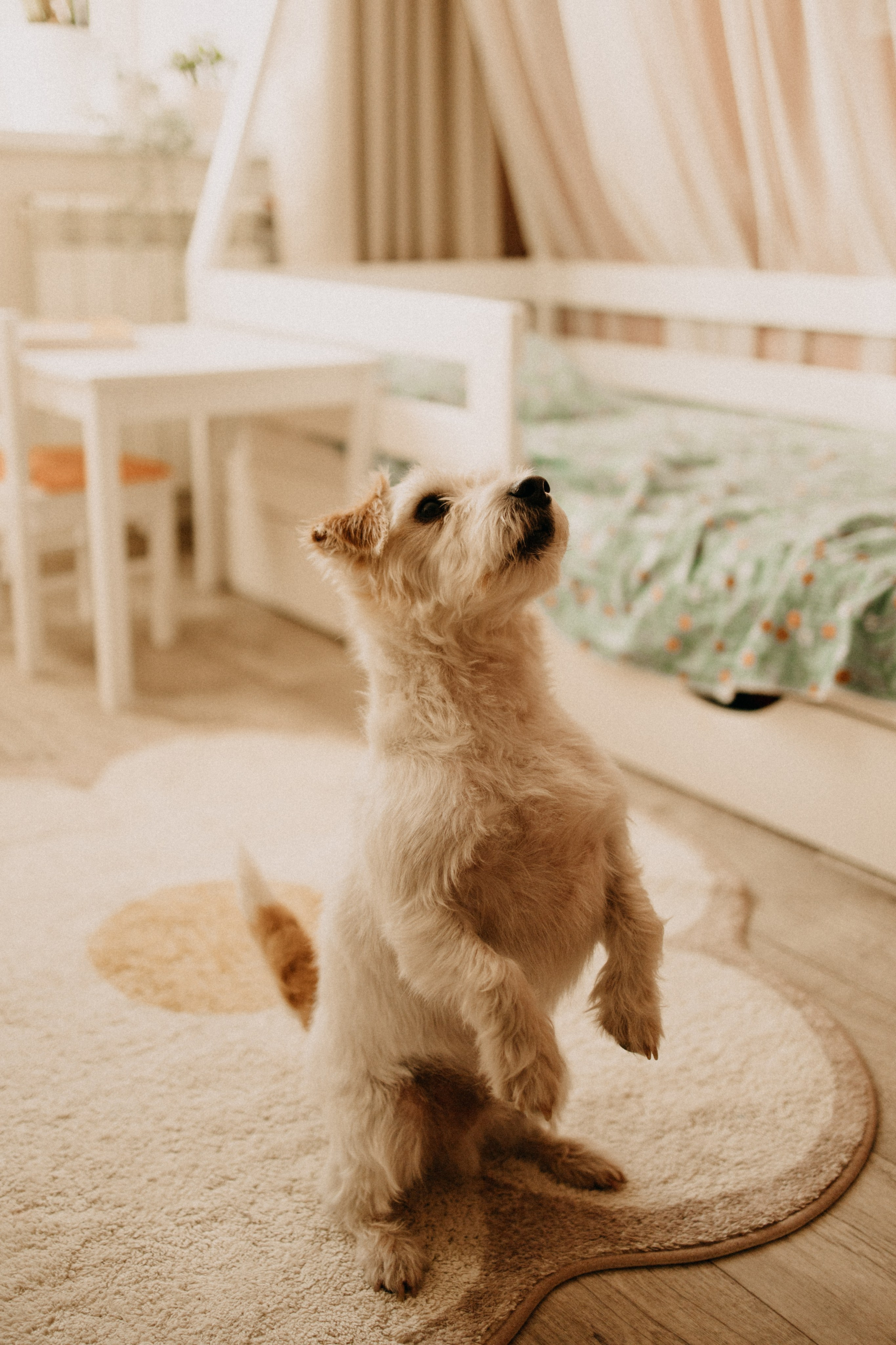 3 года. Фотограф Настя Леонова