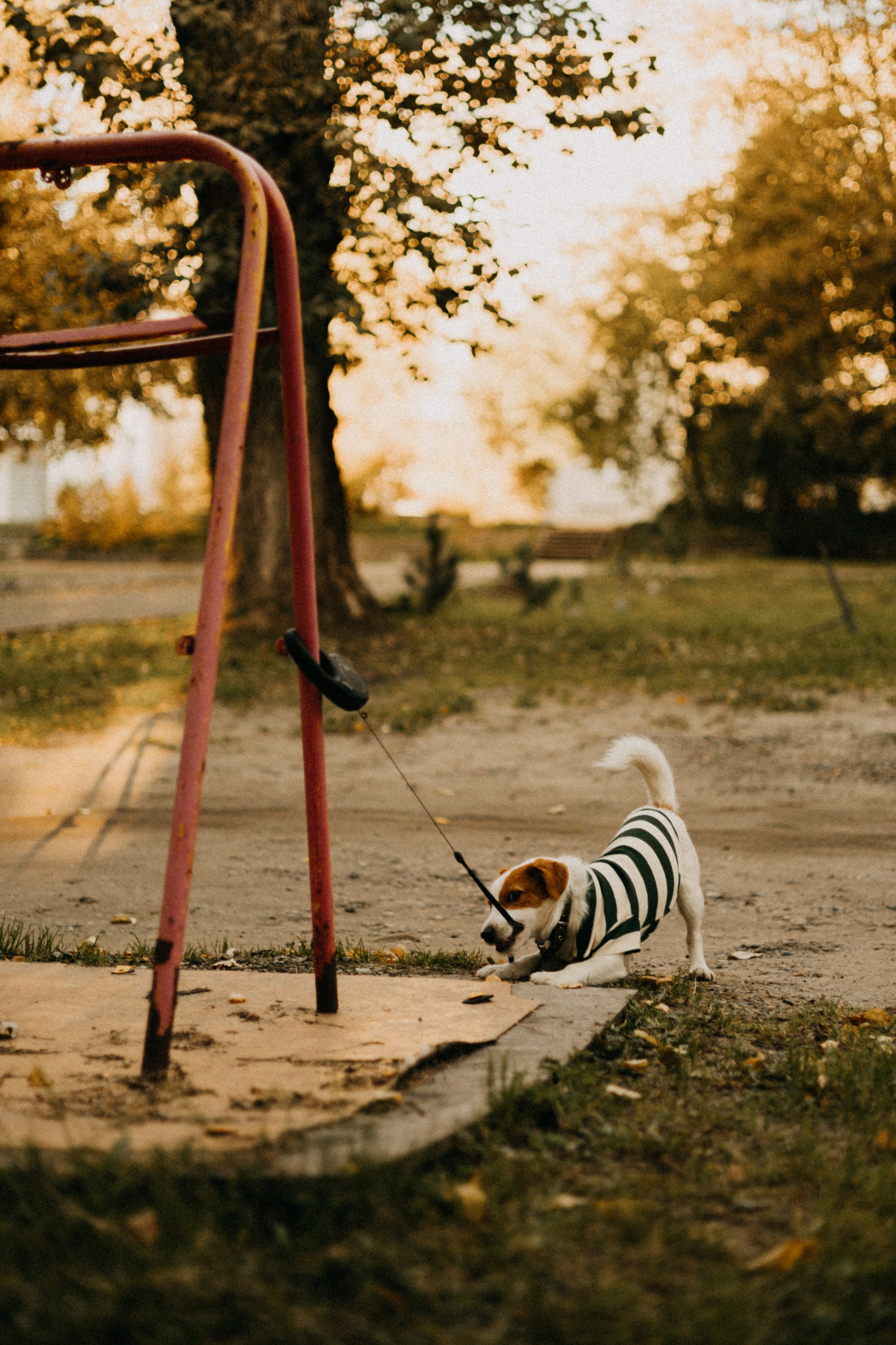 Прогулка втроём. Фотограф Настя Леонова