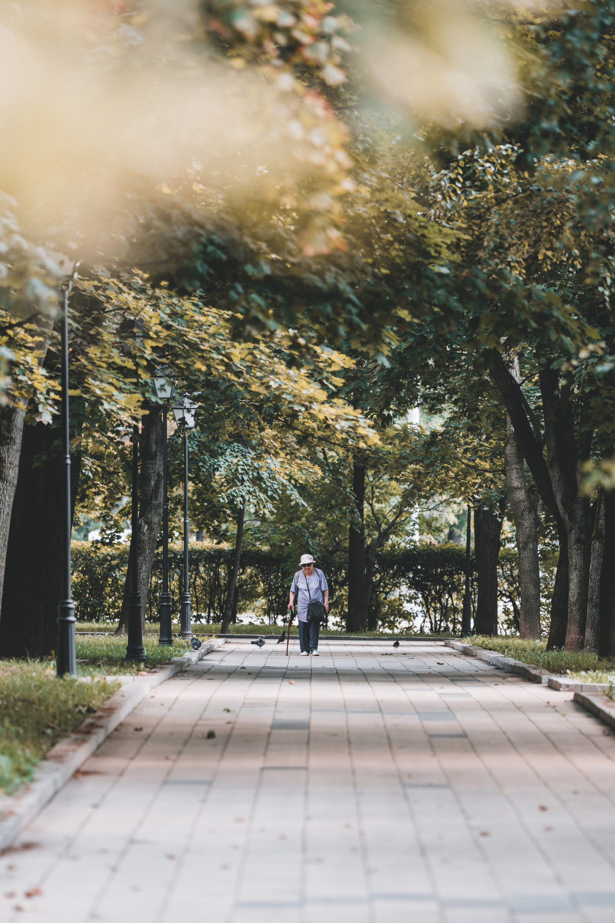 Пожилая женщина идет по дорожке в парке у Новодевичьего монастыря в Москве