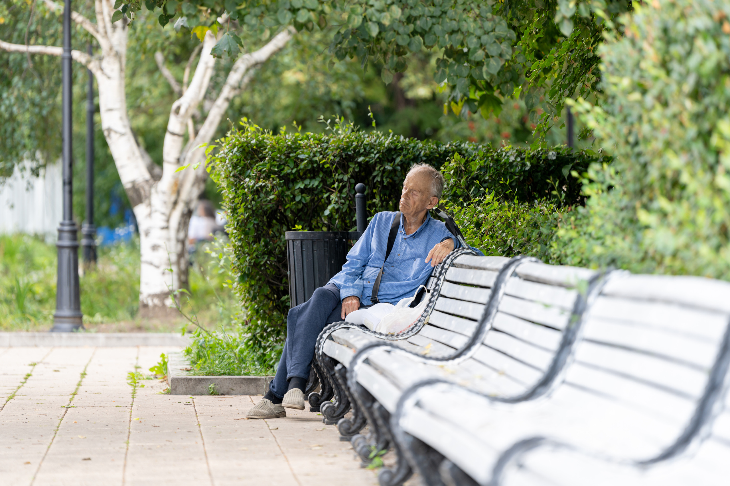 Пожилой человек задремал на скамейке летом в парке у Новодевичьего монастыря в Москве