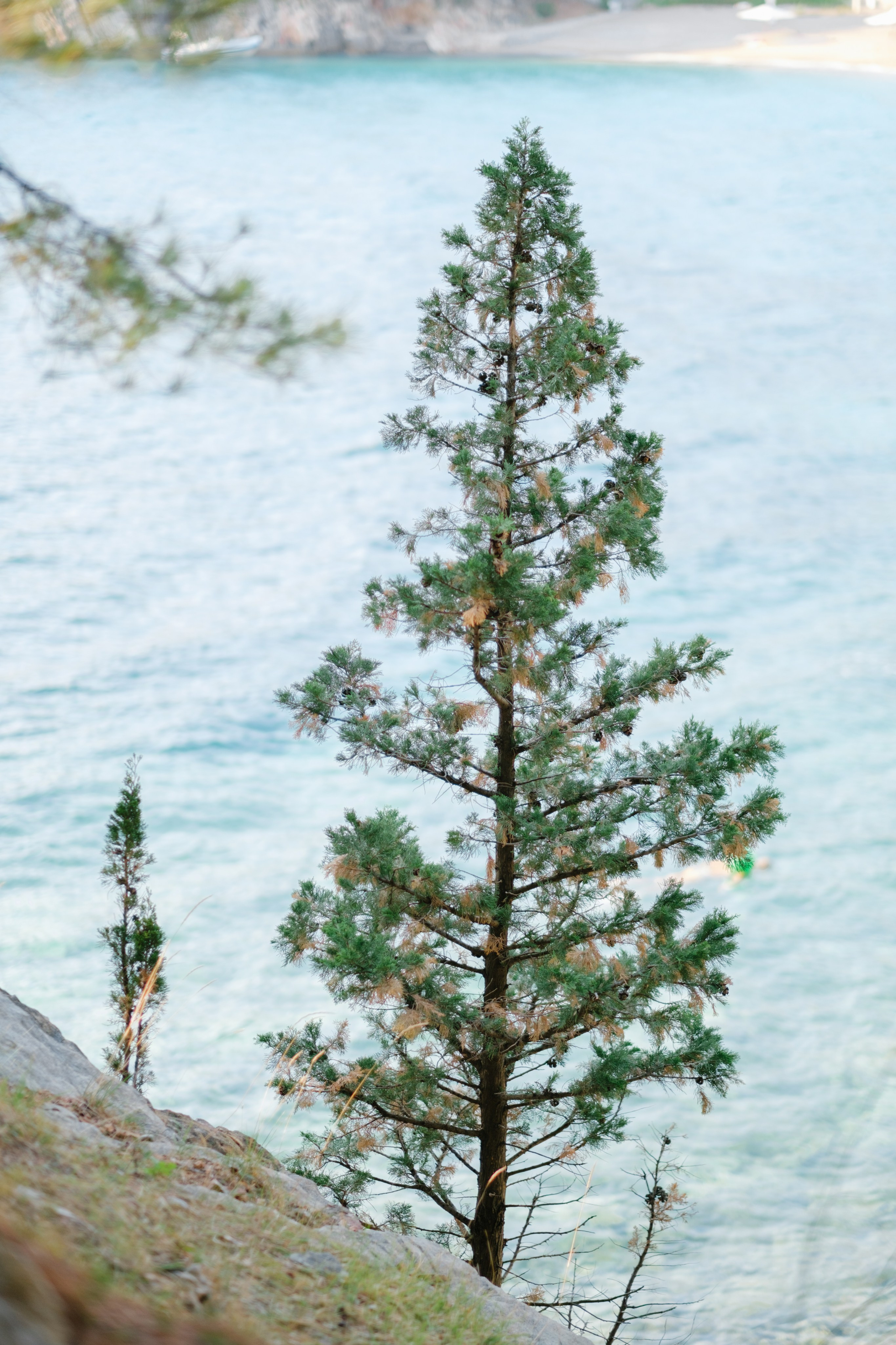 Budva. Свадебный Видеограф Фотограф в Сочи