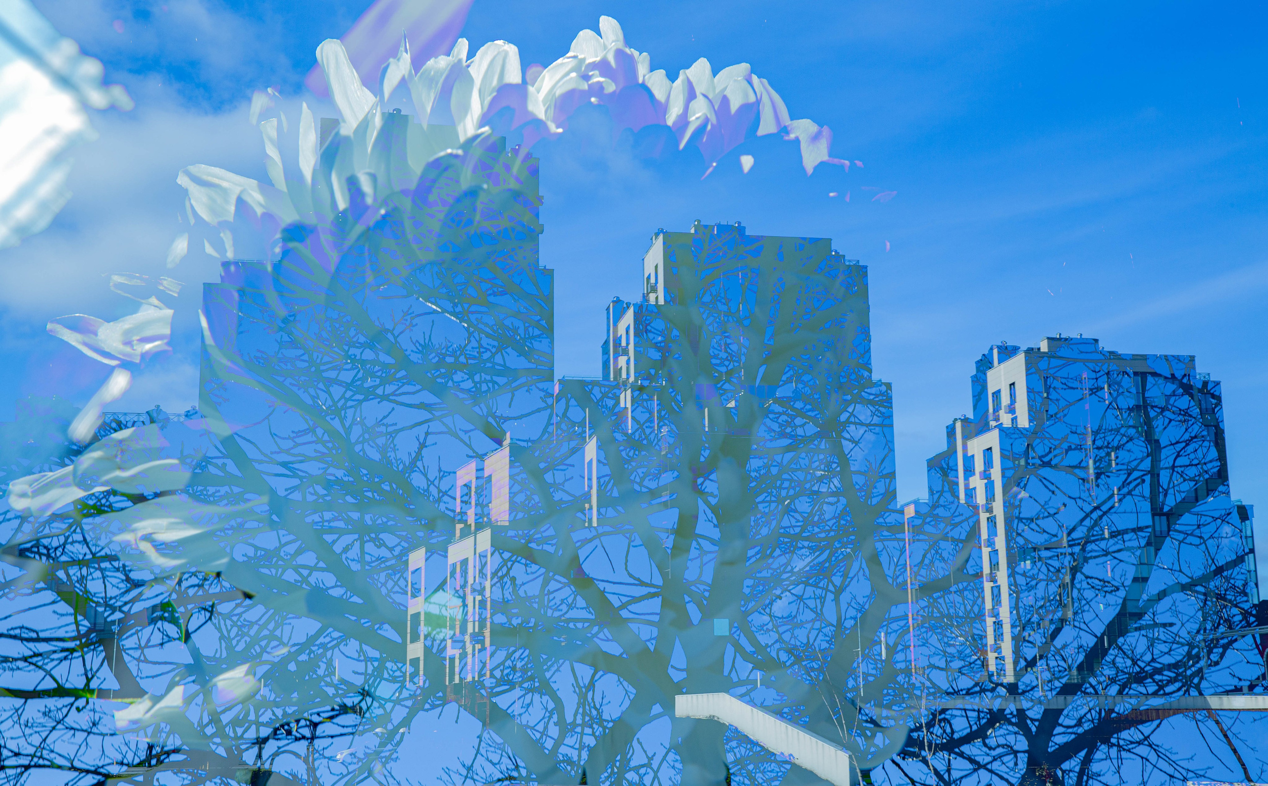 СТРОФА 2 — ЦВЕТОВЕДЕНИЕ. Photographer Anna Arzamastseva