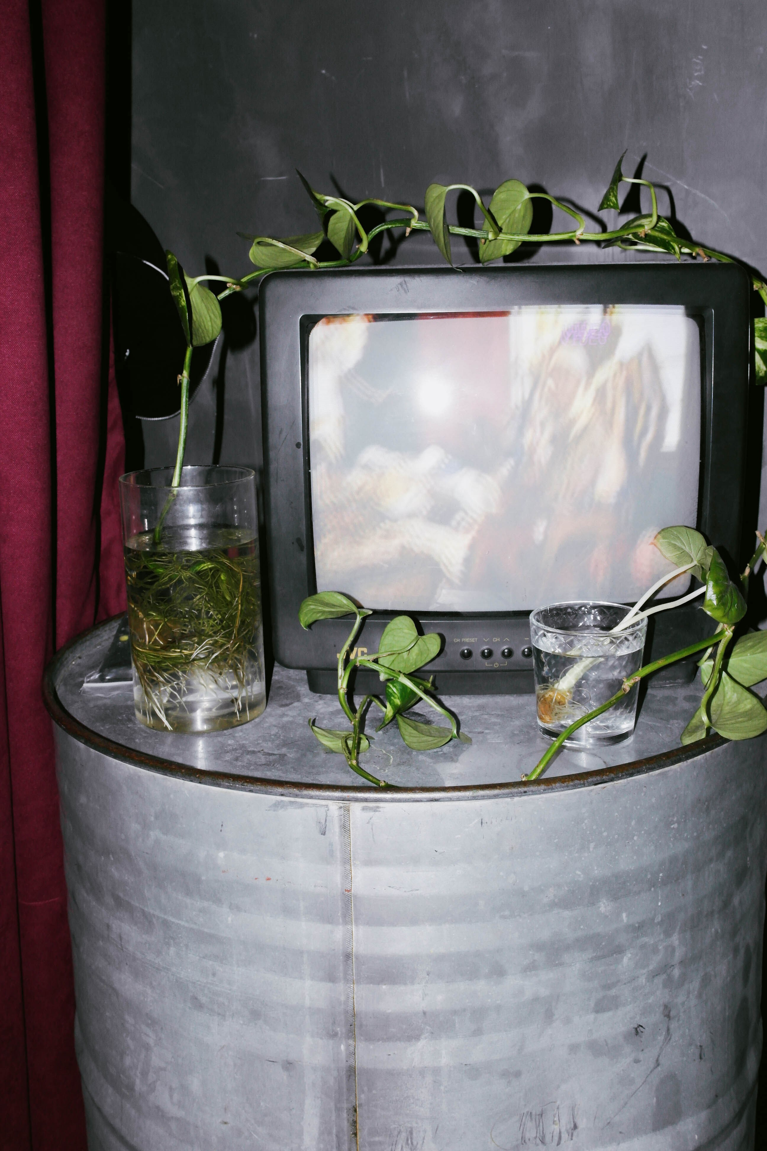 Kontrkult x kiki. Shyjungle's Portfolio