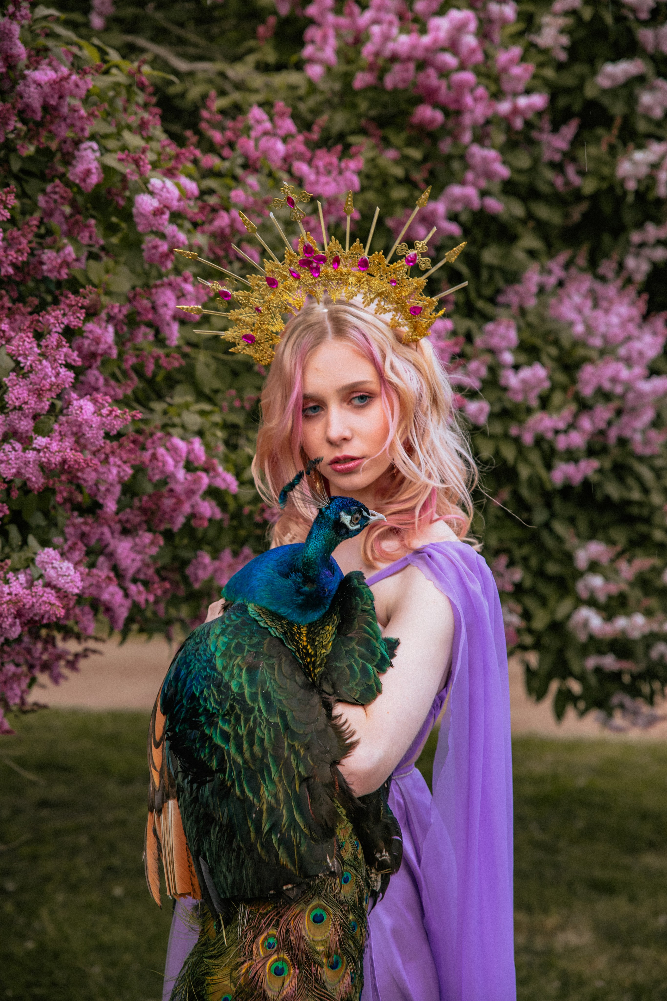 Павлин. Elena Sova — семейный и женский фотограф в Санкт-Петербурге