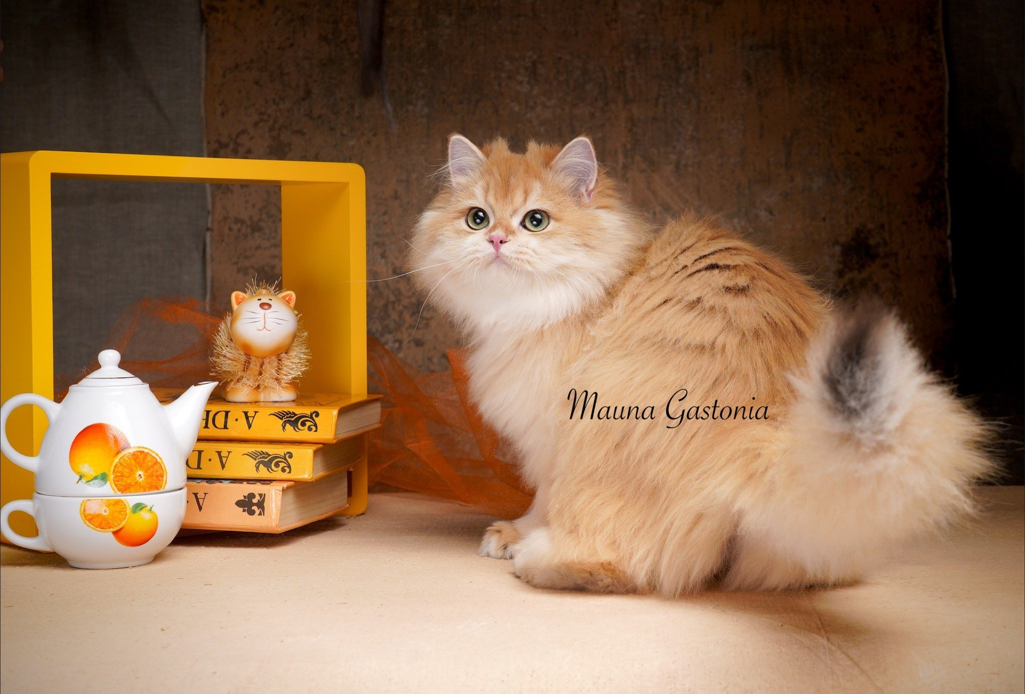 Germes. Mauna Gastonia