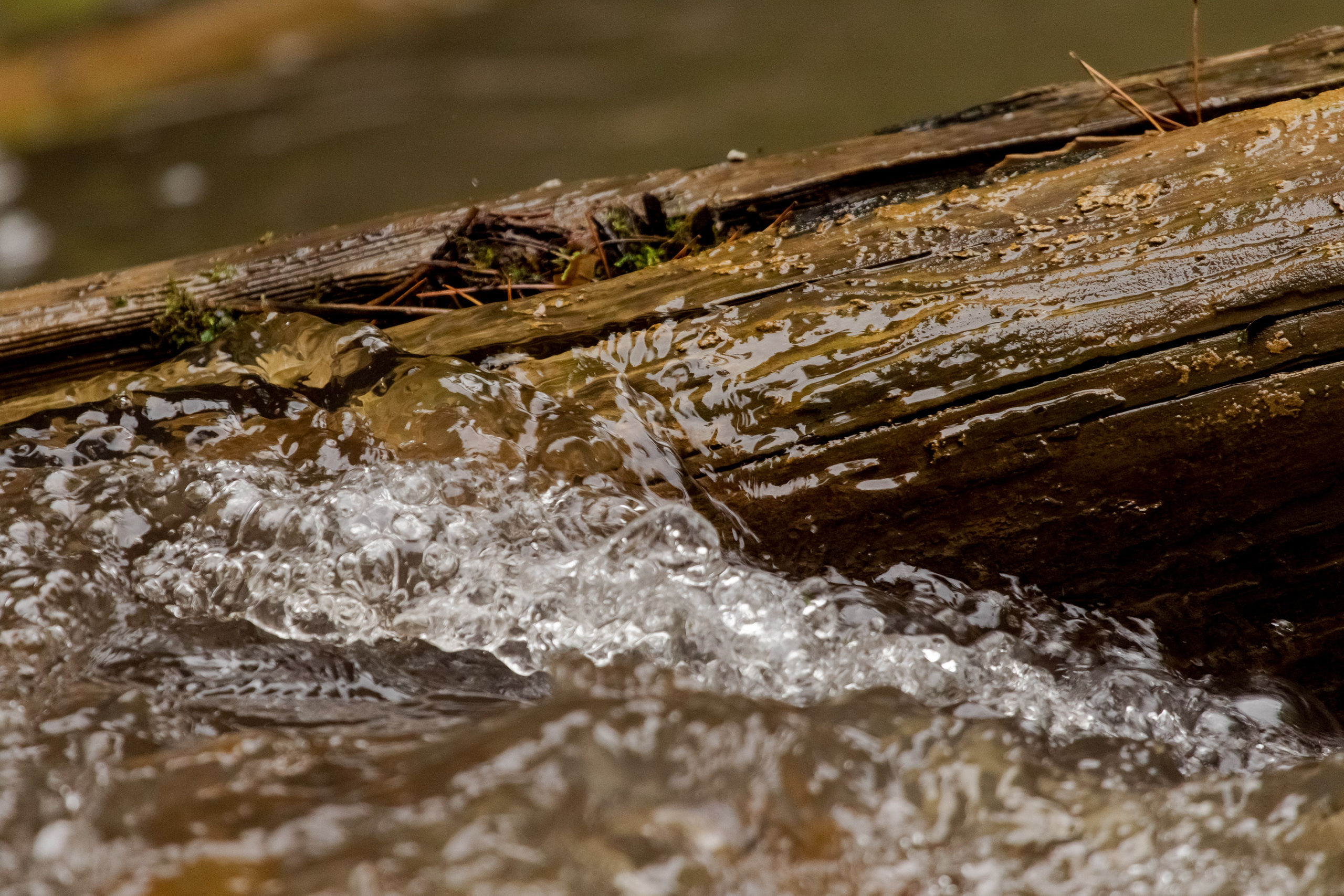 Фототур Кия. Фотограф Кирилл Мешков Кемерово