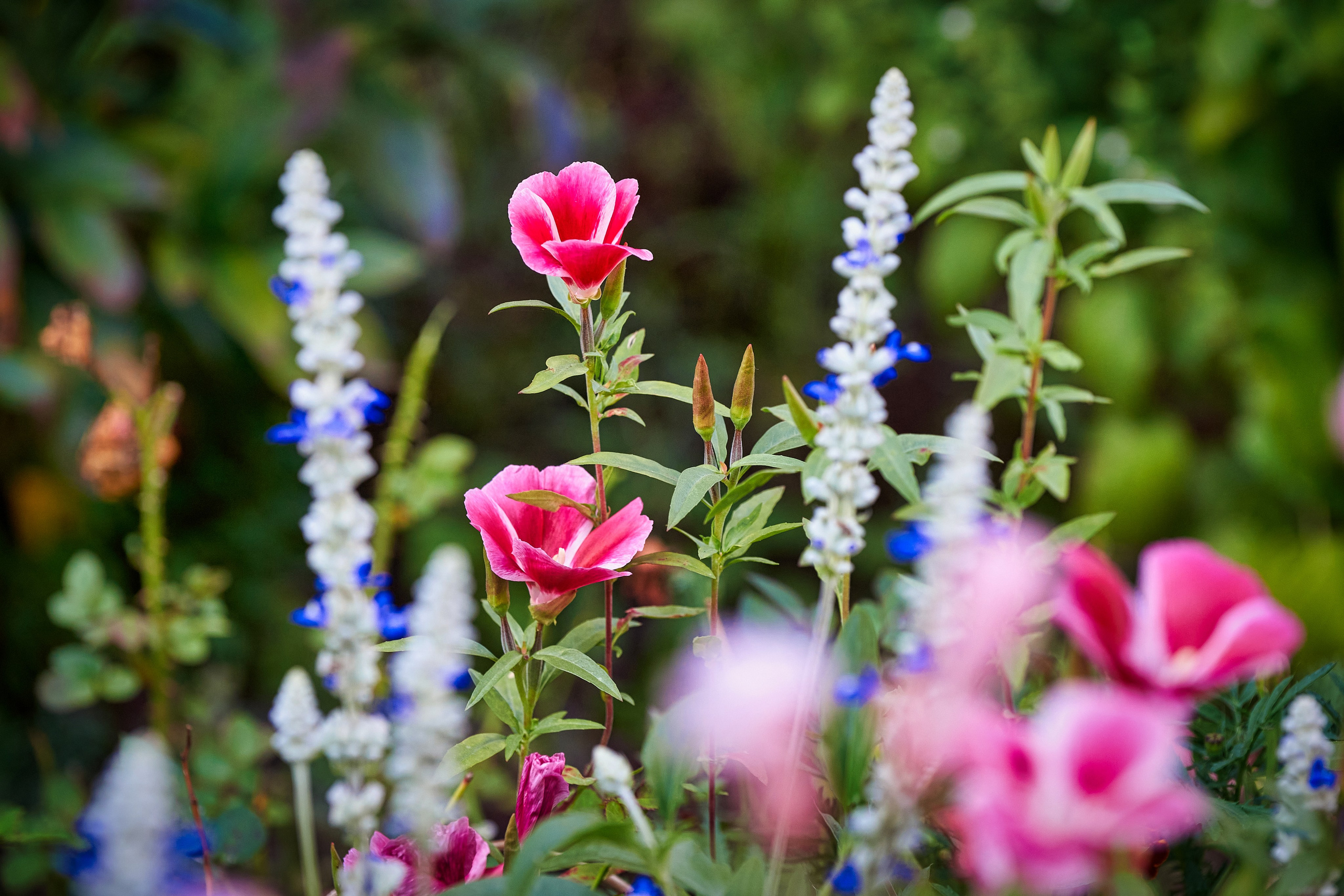 Наша мать — природа. Фотограф Владимир Артамонов