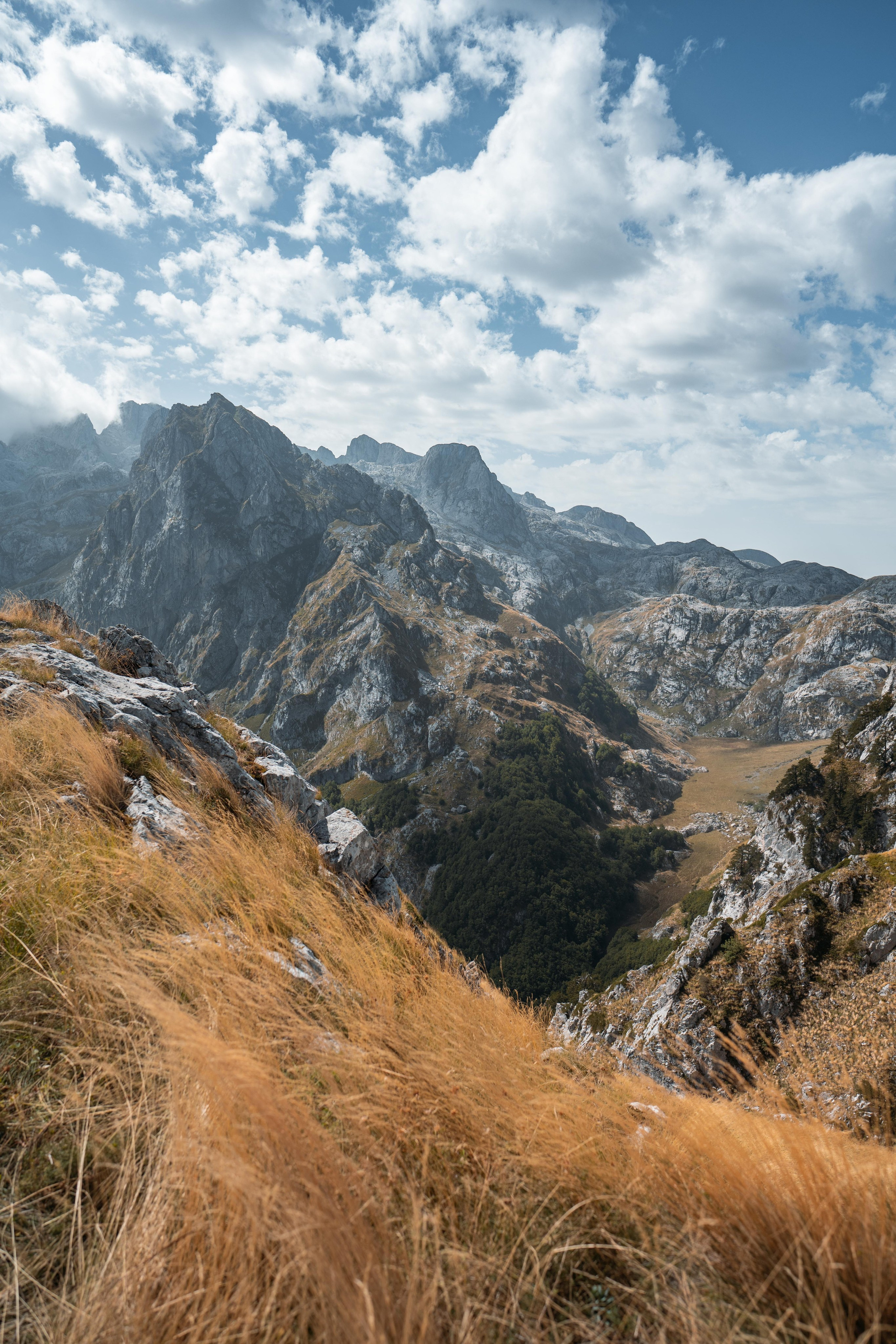 ДОЛИНА ГРЕБАЙЕ. ЧЕРНОГОРИЯ. Фотограф в Белграде Чугреева Елена
