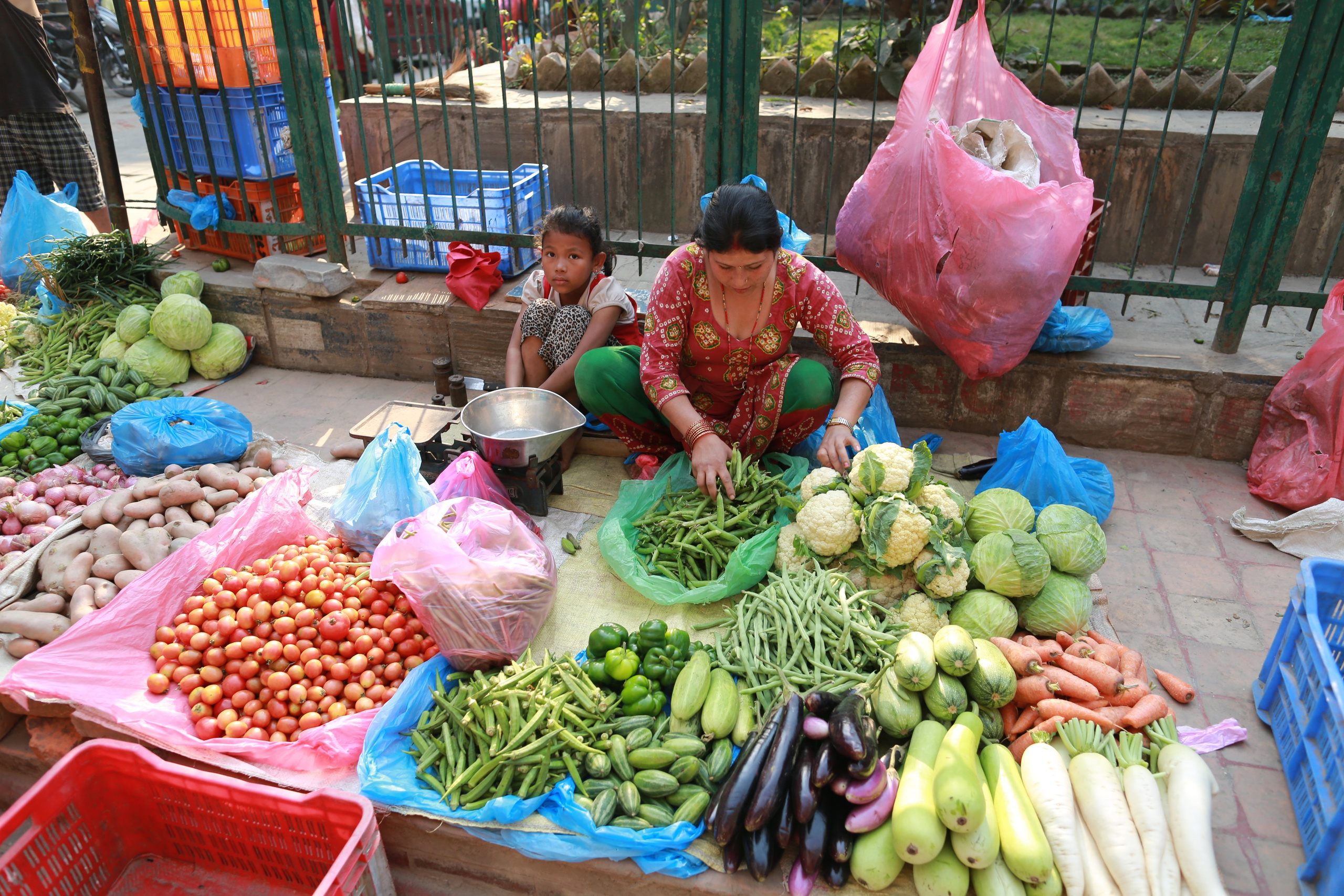 Базовый лагерь Аннапурны 2014. Клуб путешествий HimalTrex Горные туры в Гималаи Непал