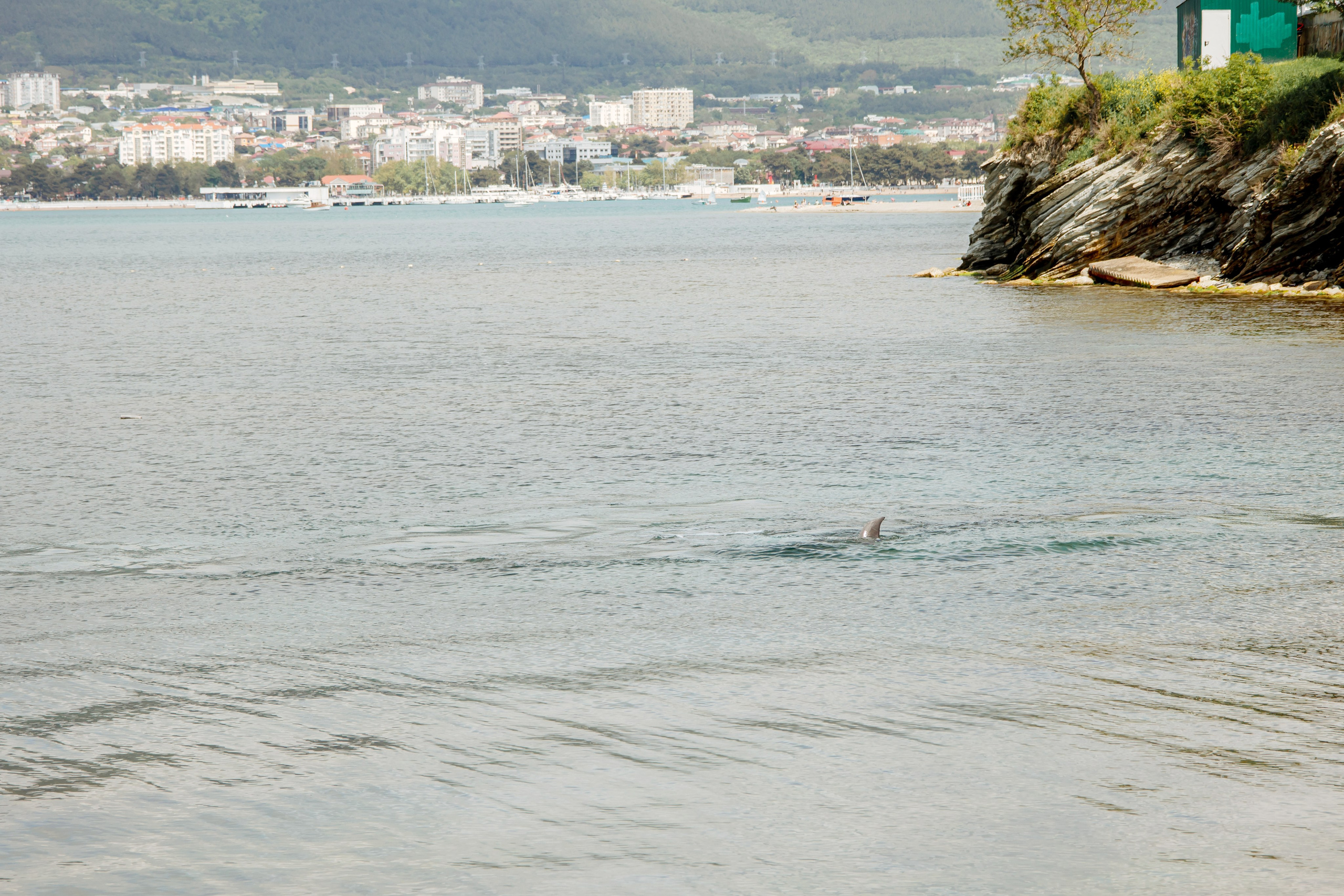 Татьяна. Фотограф в Геленджике, Архипо-Осиповке, Абрау-Дюрсо, Кринице Виктория