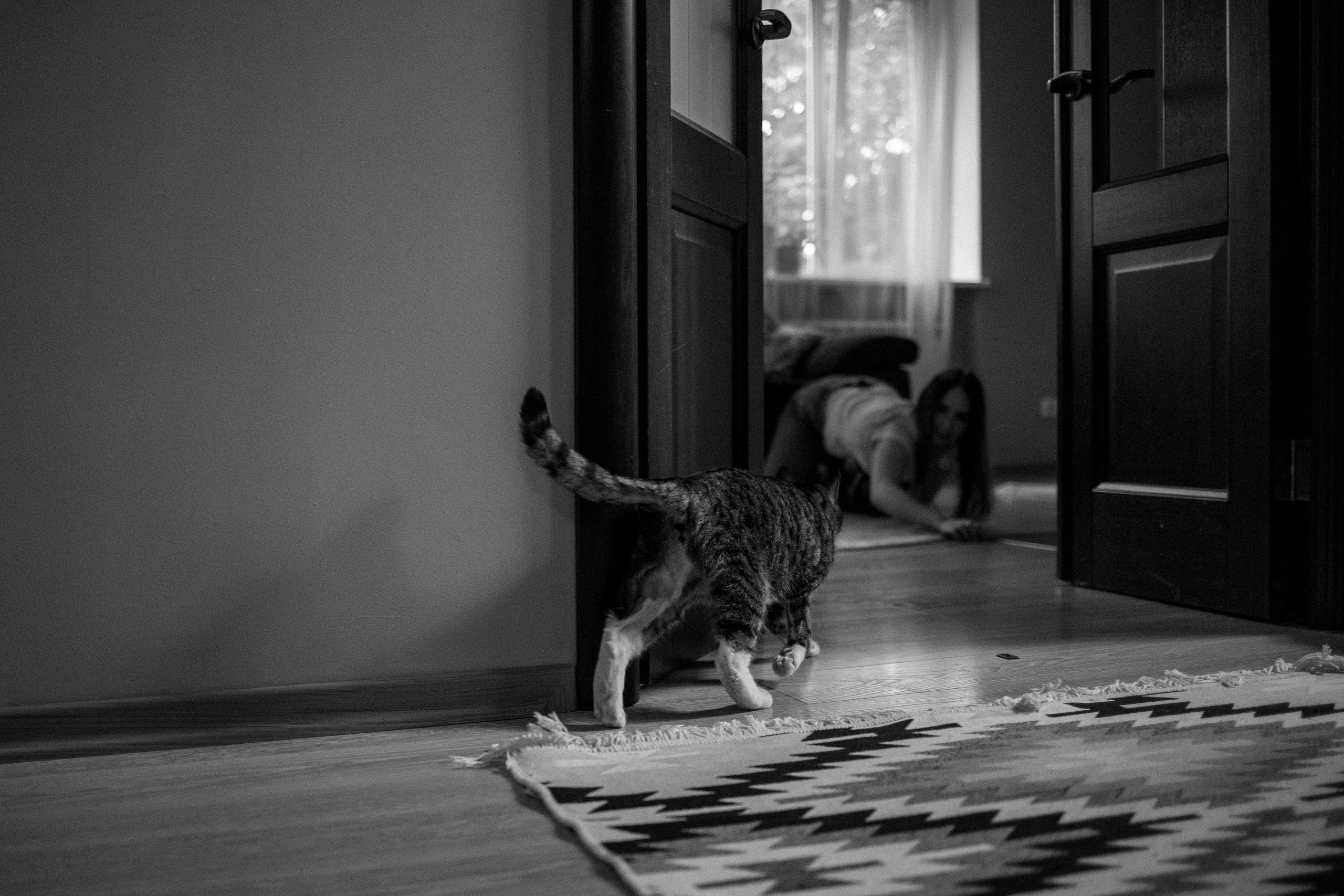 Софа и ее хвостики. Фотограф — Анималист | Санкт-Петербург