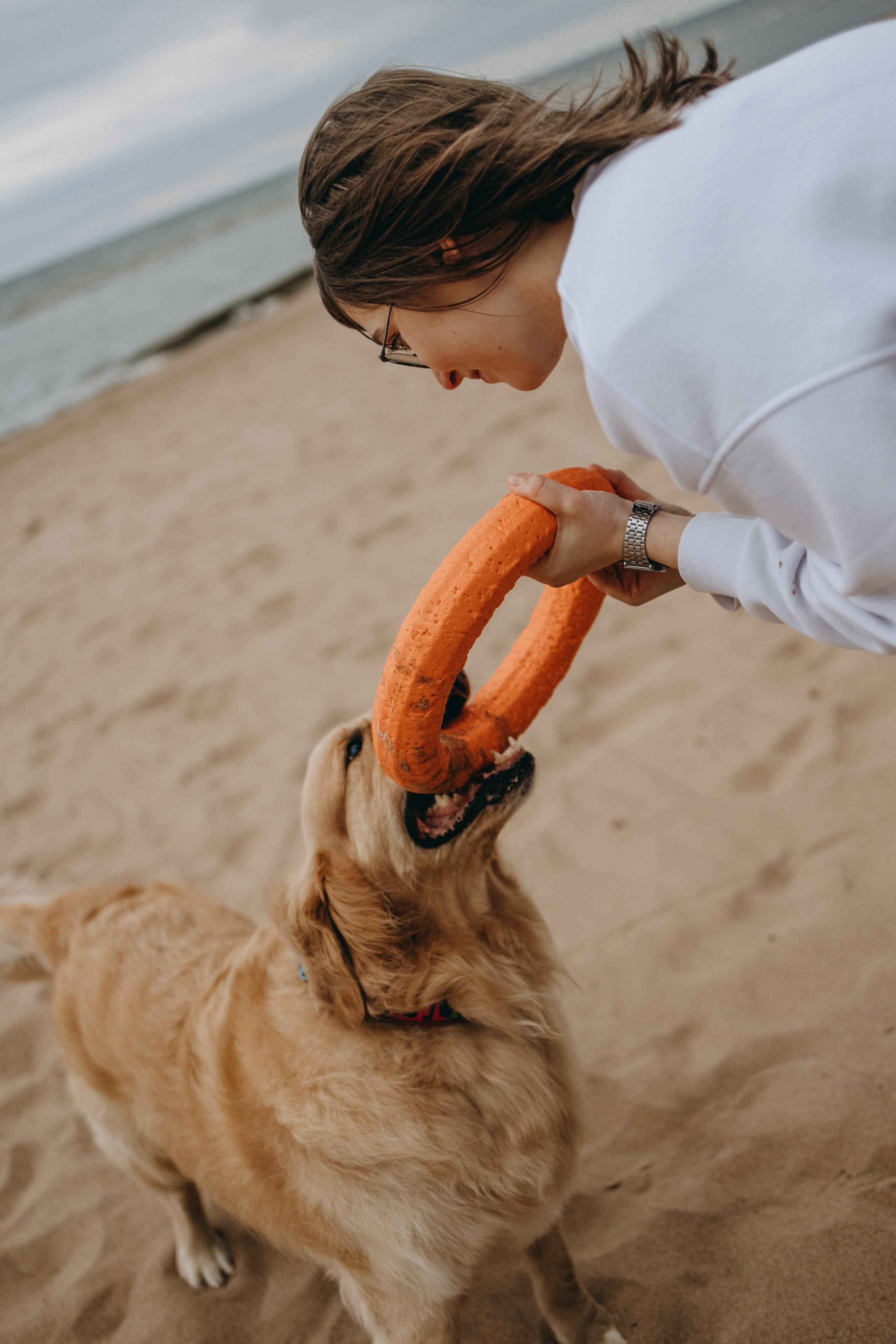 Фоси и его семьи. Фотограф — Анималист | Санкт-Петербург