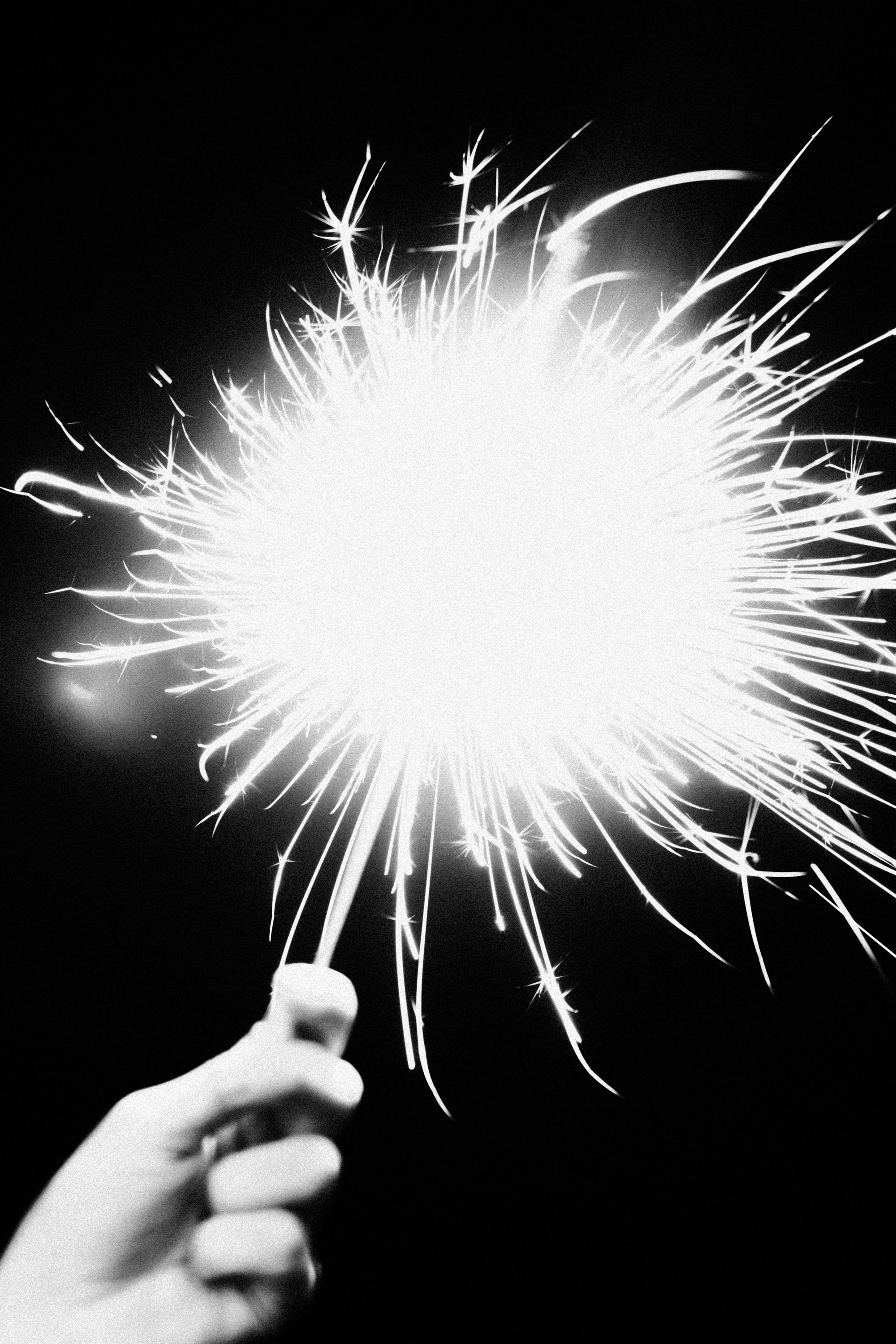 Вераника и Григорий. Репортажный и портретный фотограф во Владимире Сергей Кравцов