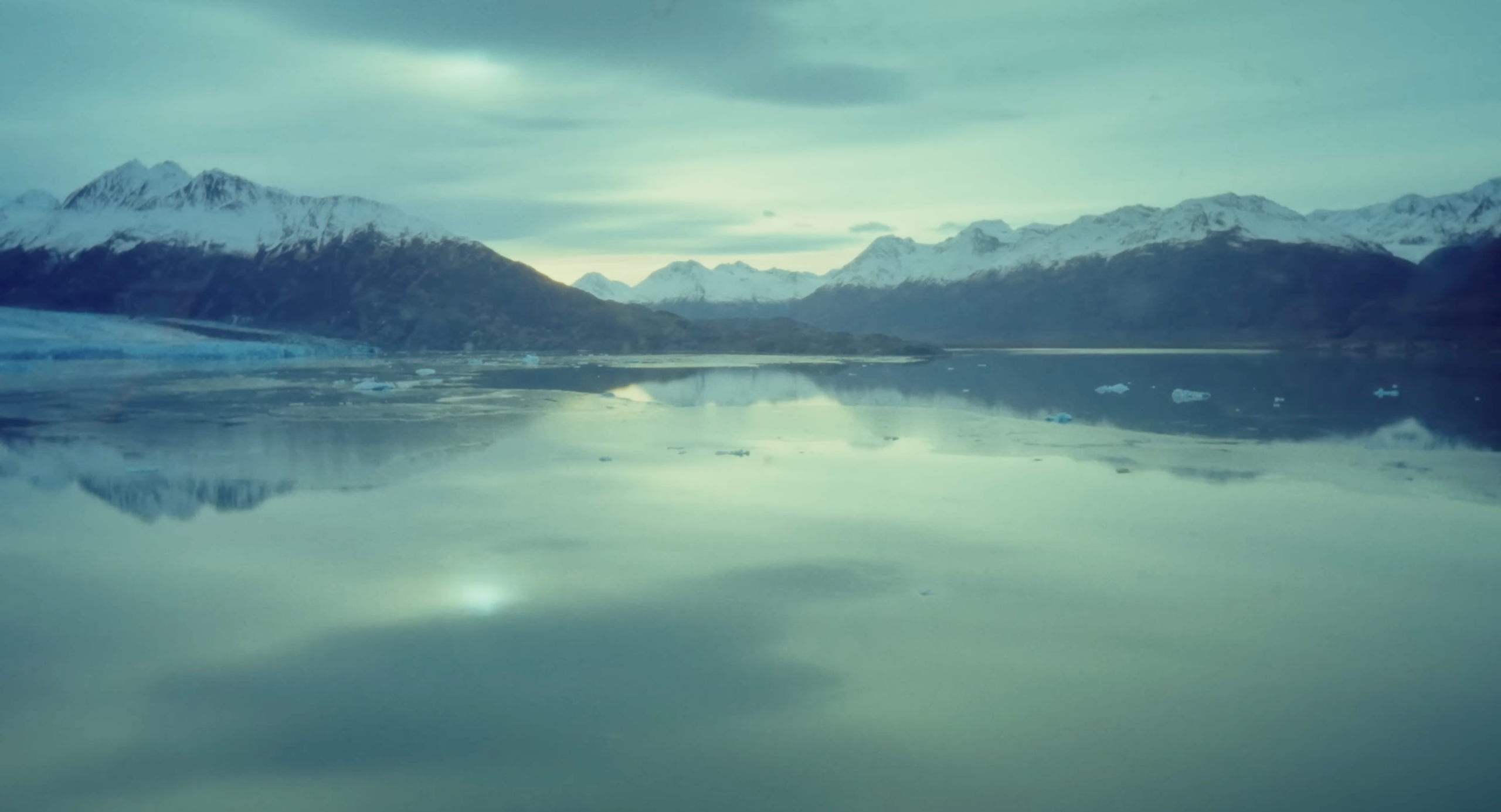 My transformation or how I became homeless in the USA. Tokcolor