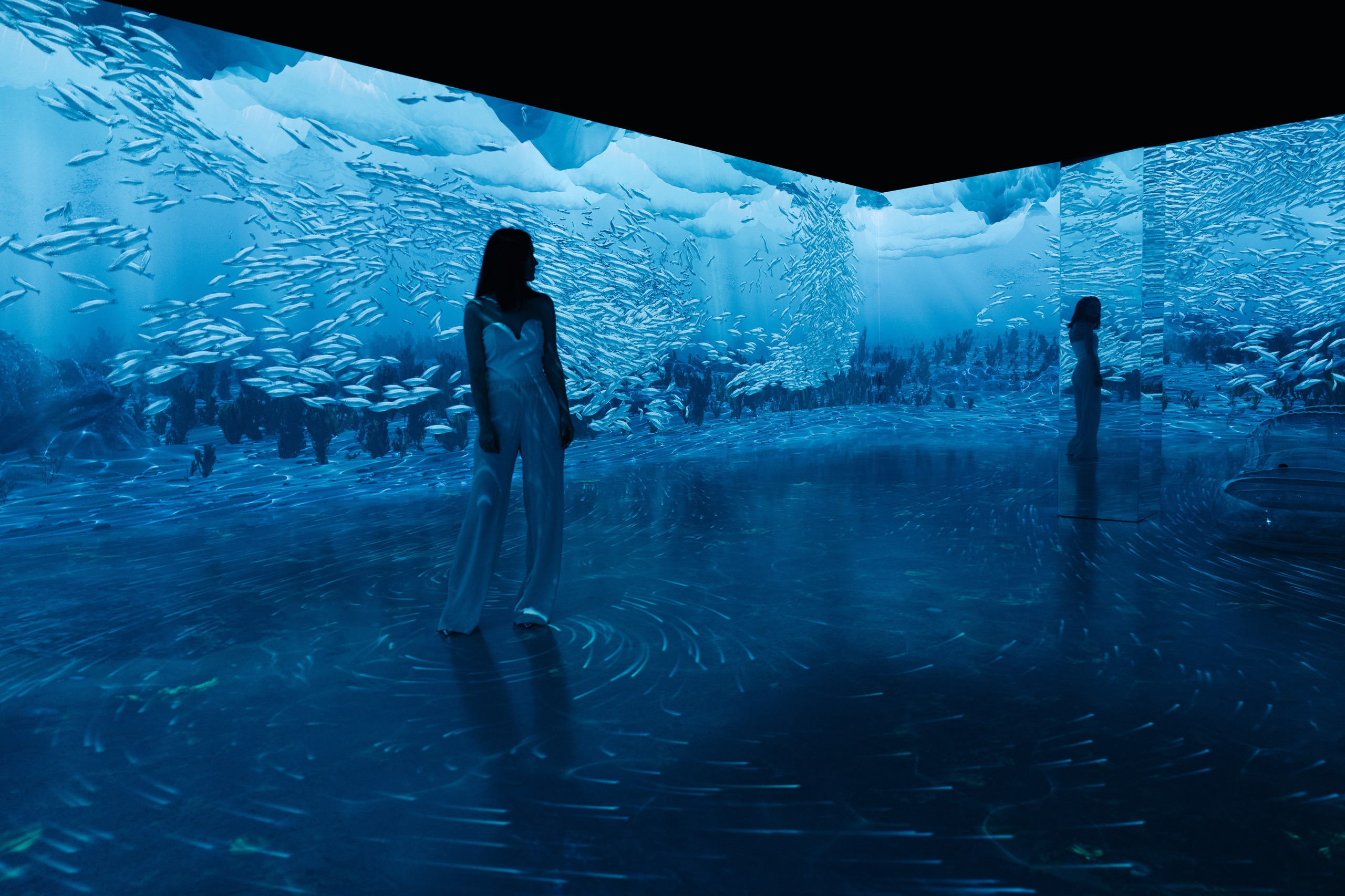 VI Ocean, Tutankhamun, SILA SVETA. @tomrus: Рустам Шагиморданов — фотограф