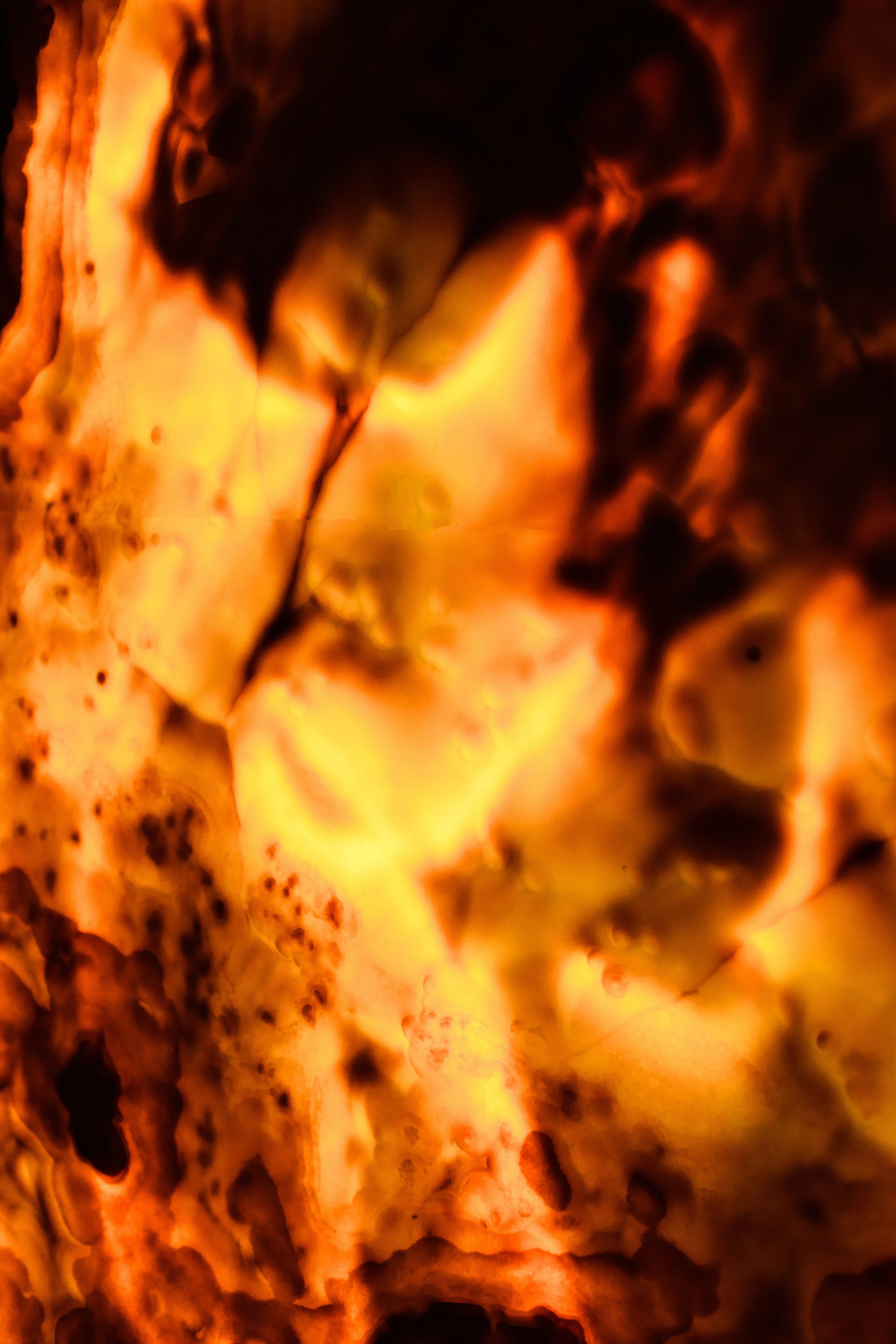 Апартаменты Agent Flat. Свадебный фотограф в Санкт-Петербурге София Шубик