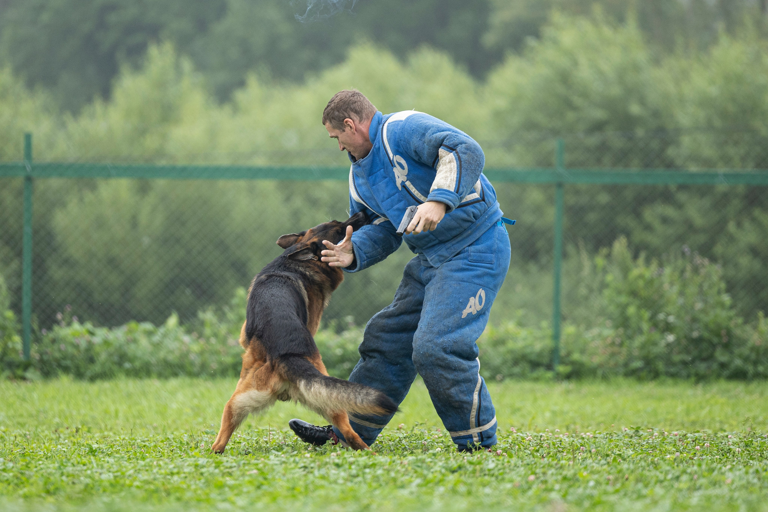 Соревнования по Мондьорингу г. Вологда 10-11.08.2024. Фотограф-анималист Анна Маринич