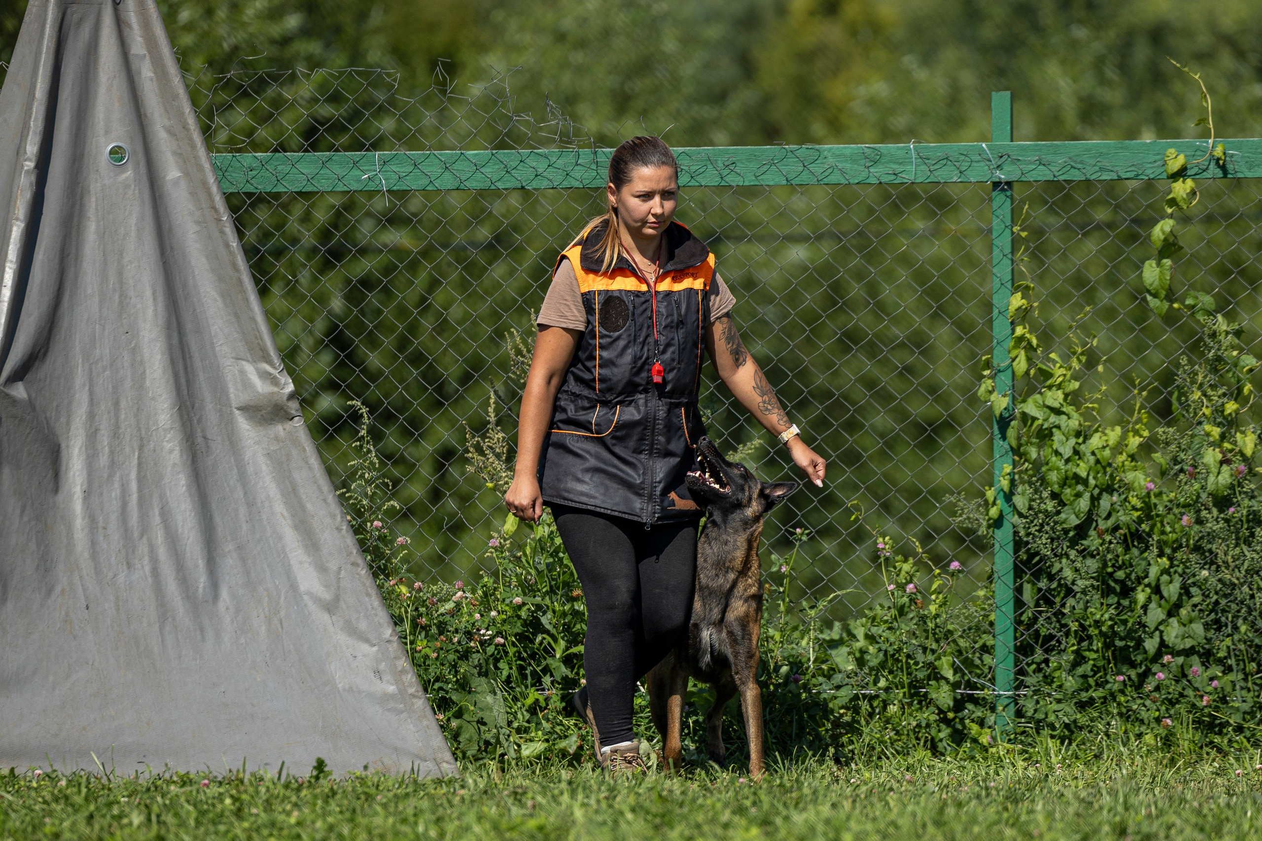 Соревнования по Мондьорингу г. Вологда 10-11.08.2024. Фотограф-анималист Анна Маринич