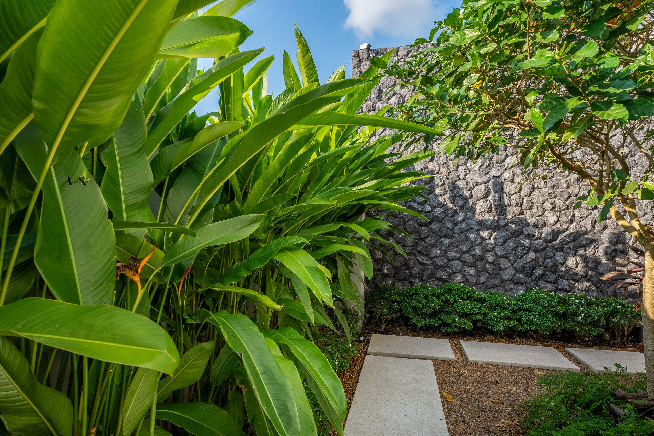 Villa Bang Tao. Свадебный и Репортажный фотограф в Москве — Шестак Константин