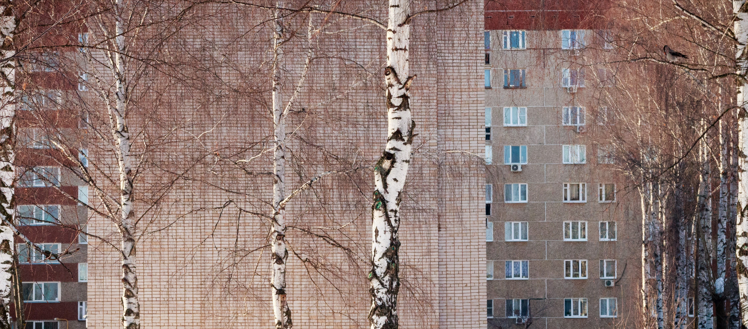 Родные узоры. Россия. Олег Романов. Мастер фото по спорту