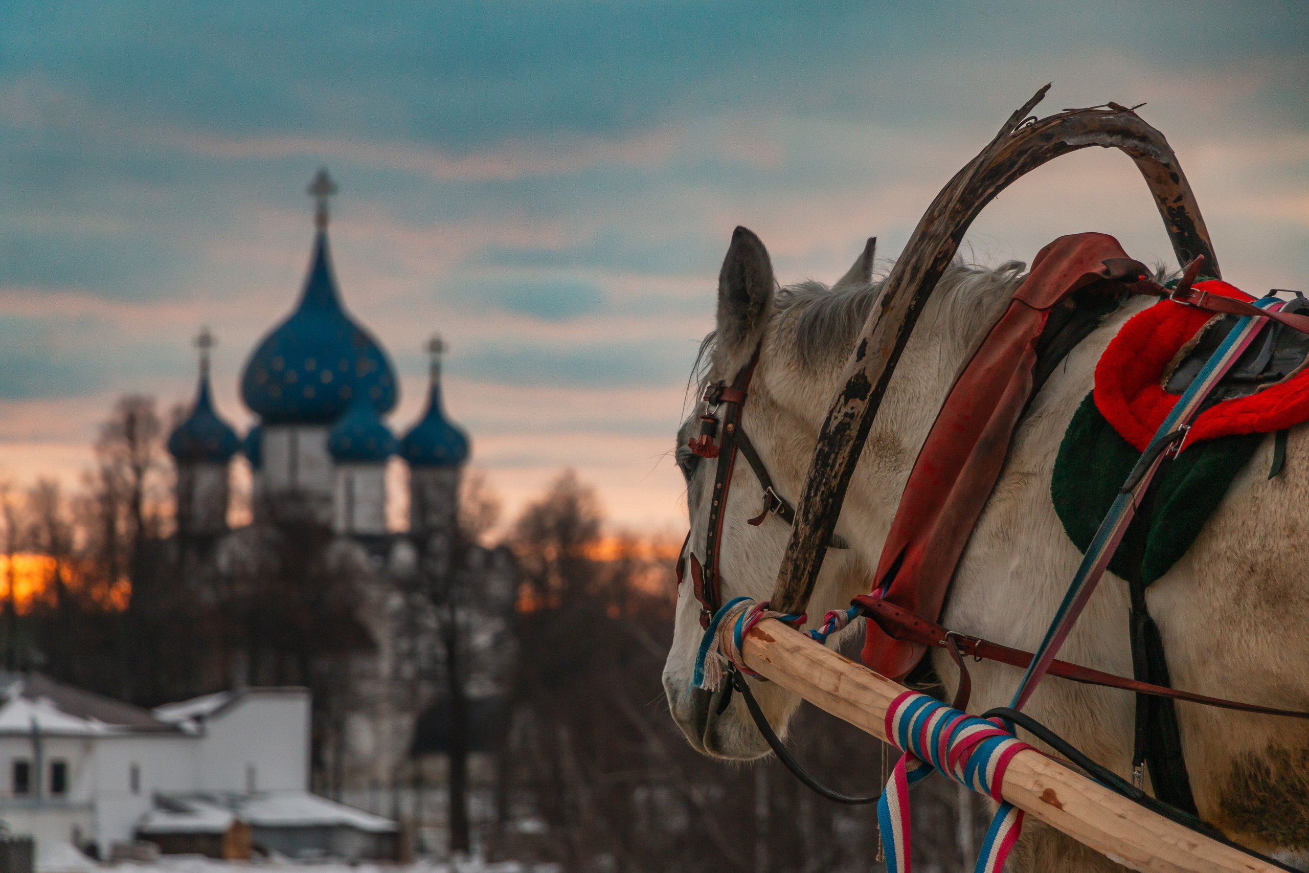 Суздаль. Олег Романов. Мастер фото по спорту